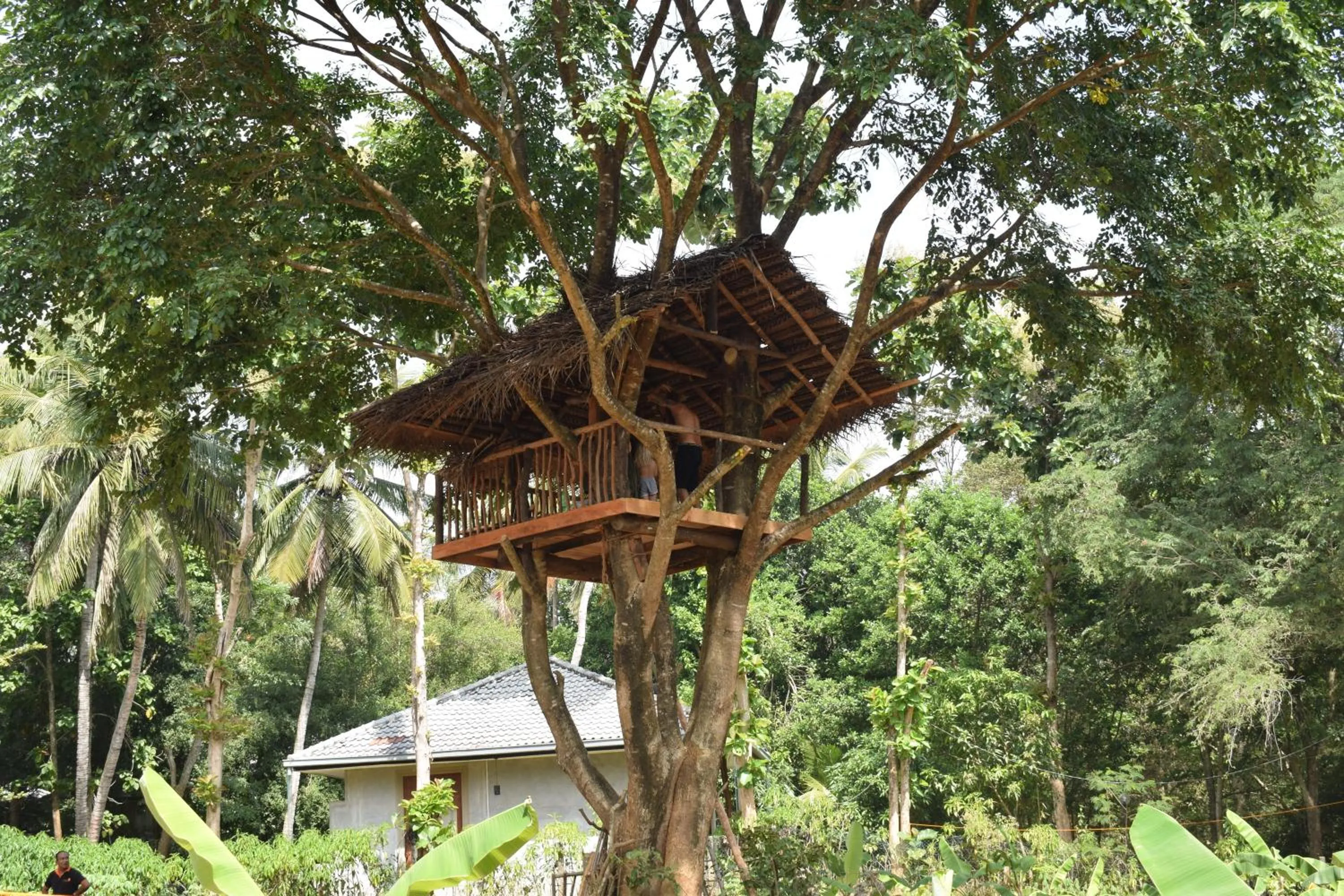 Nil Diya Mankada Safari Lodge