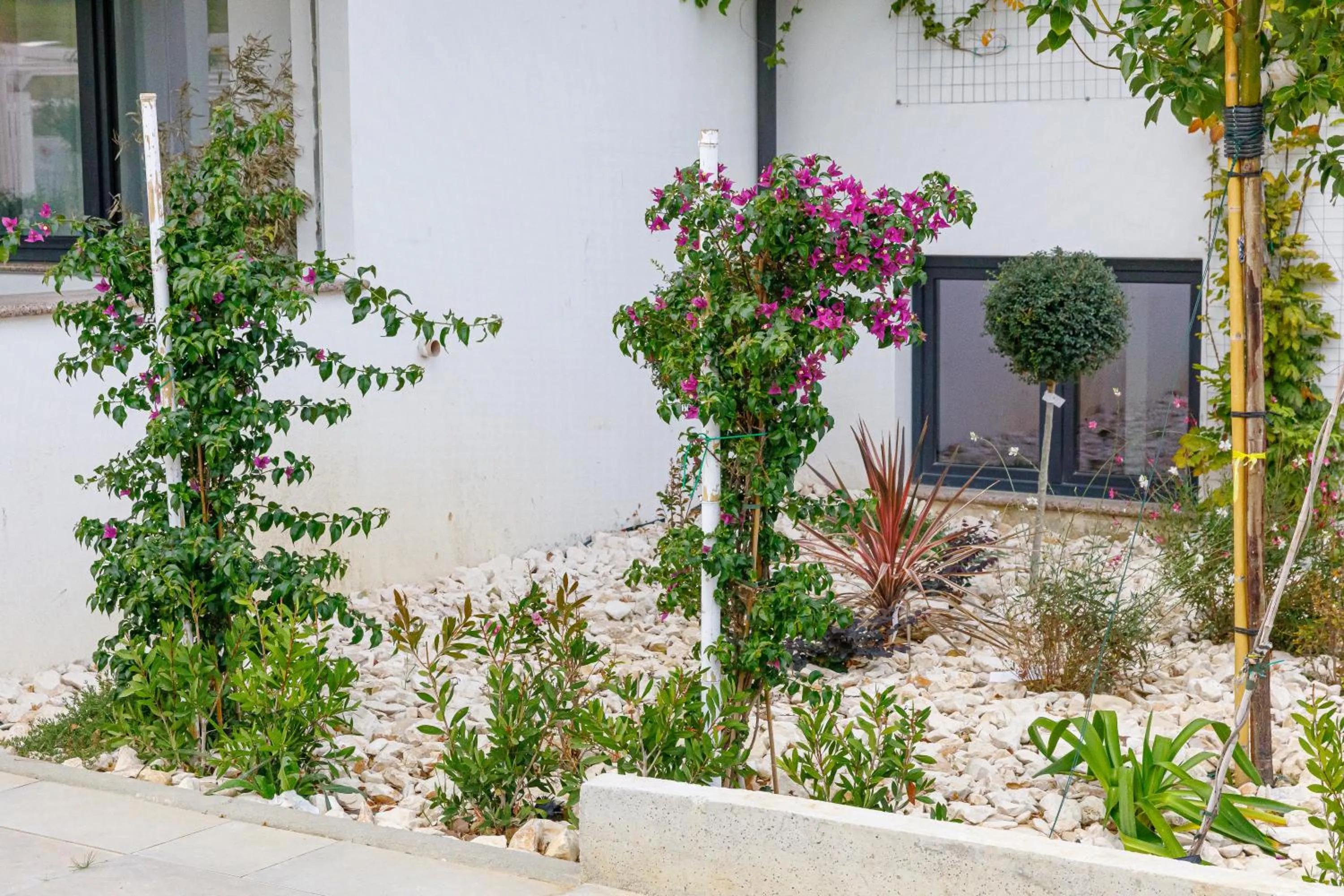 Garden in RESIDENCE MARCO POLO