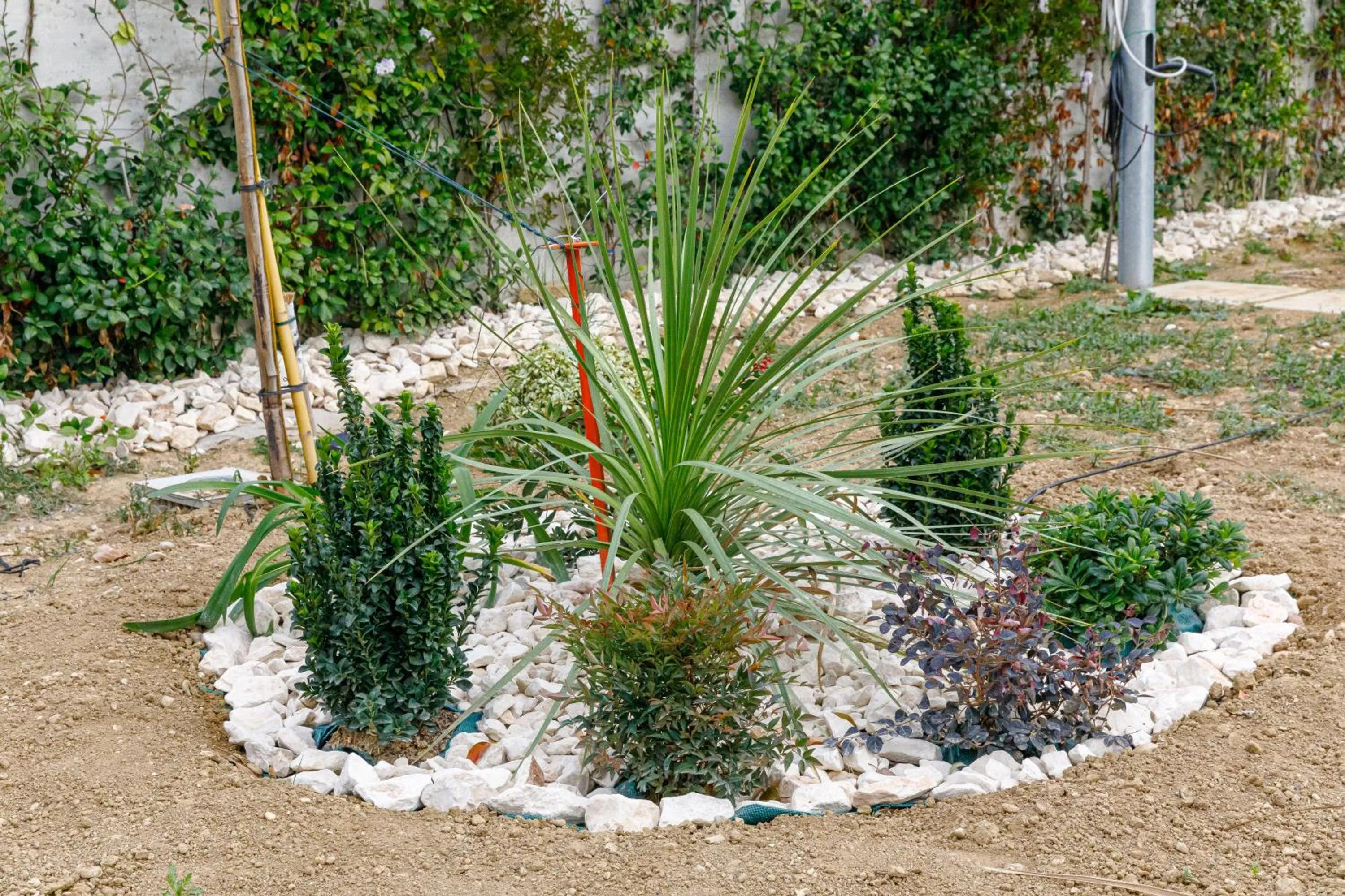 Garden in RESIDENCE MARCO POLO