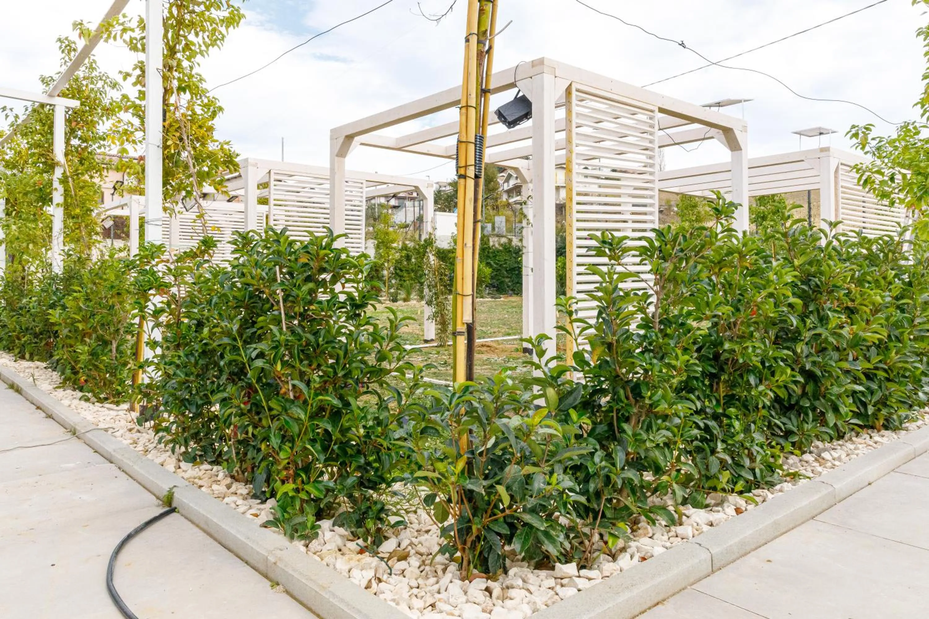 Garden in RESIDENCE MARCO POLO