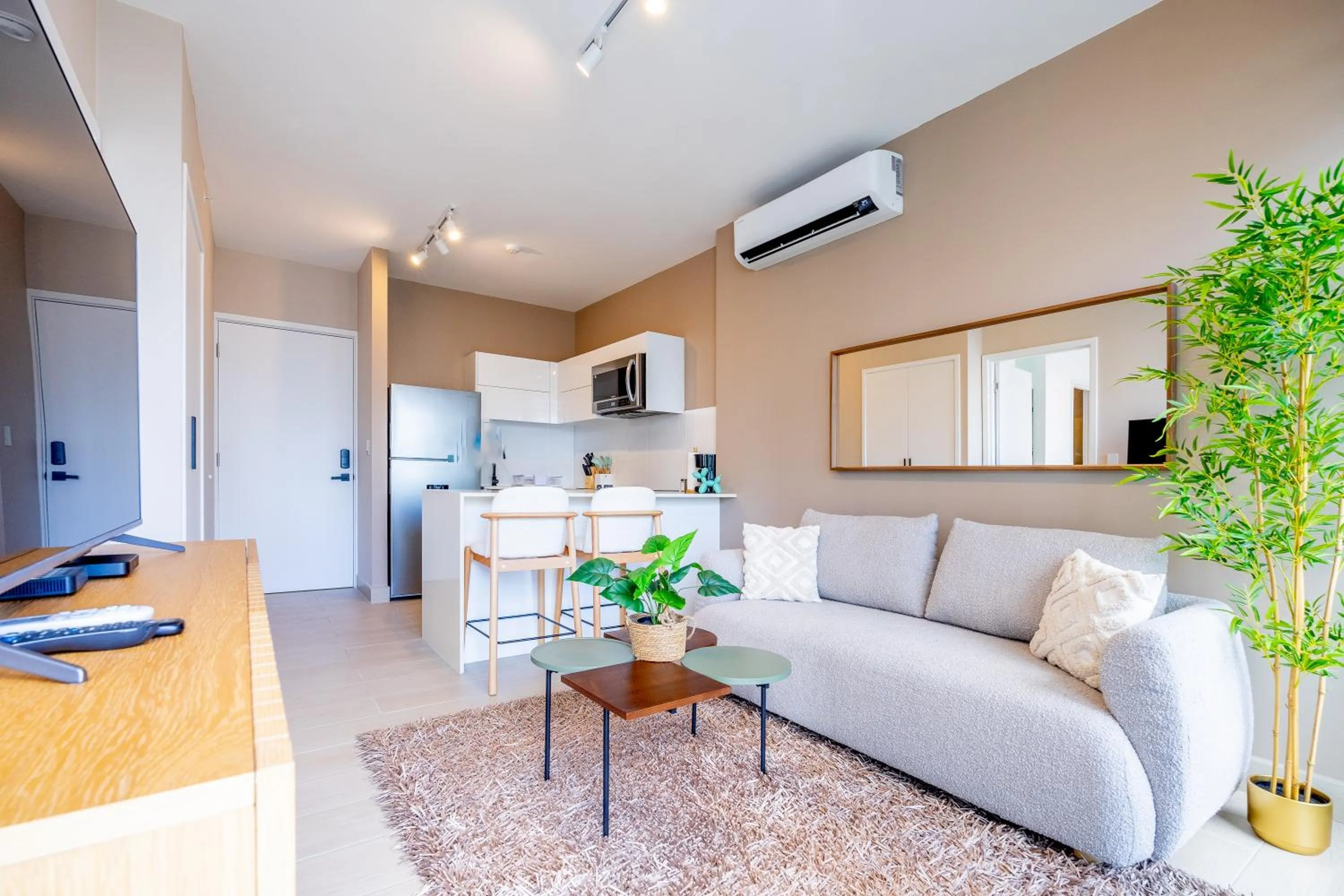 TV and multimedia in Wynwood House San Francisco