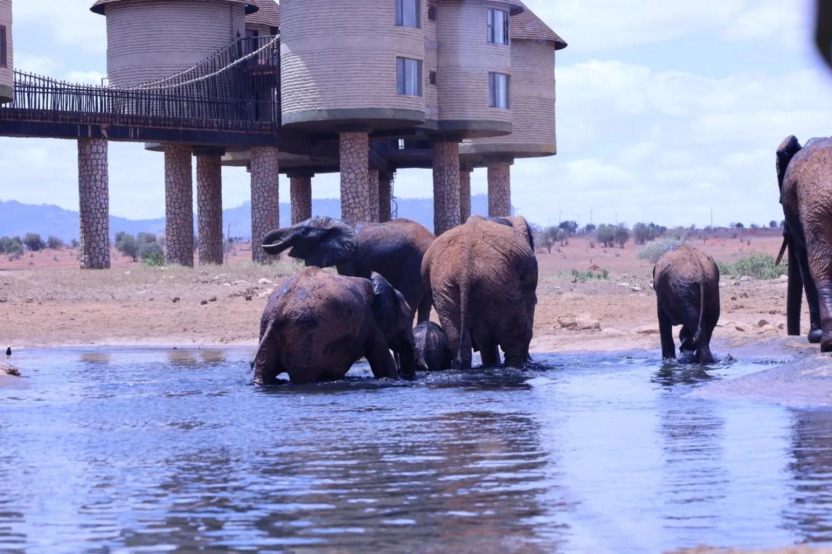 Natural landscape in Salt Lick Safari Lodge
