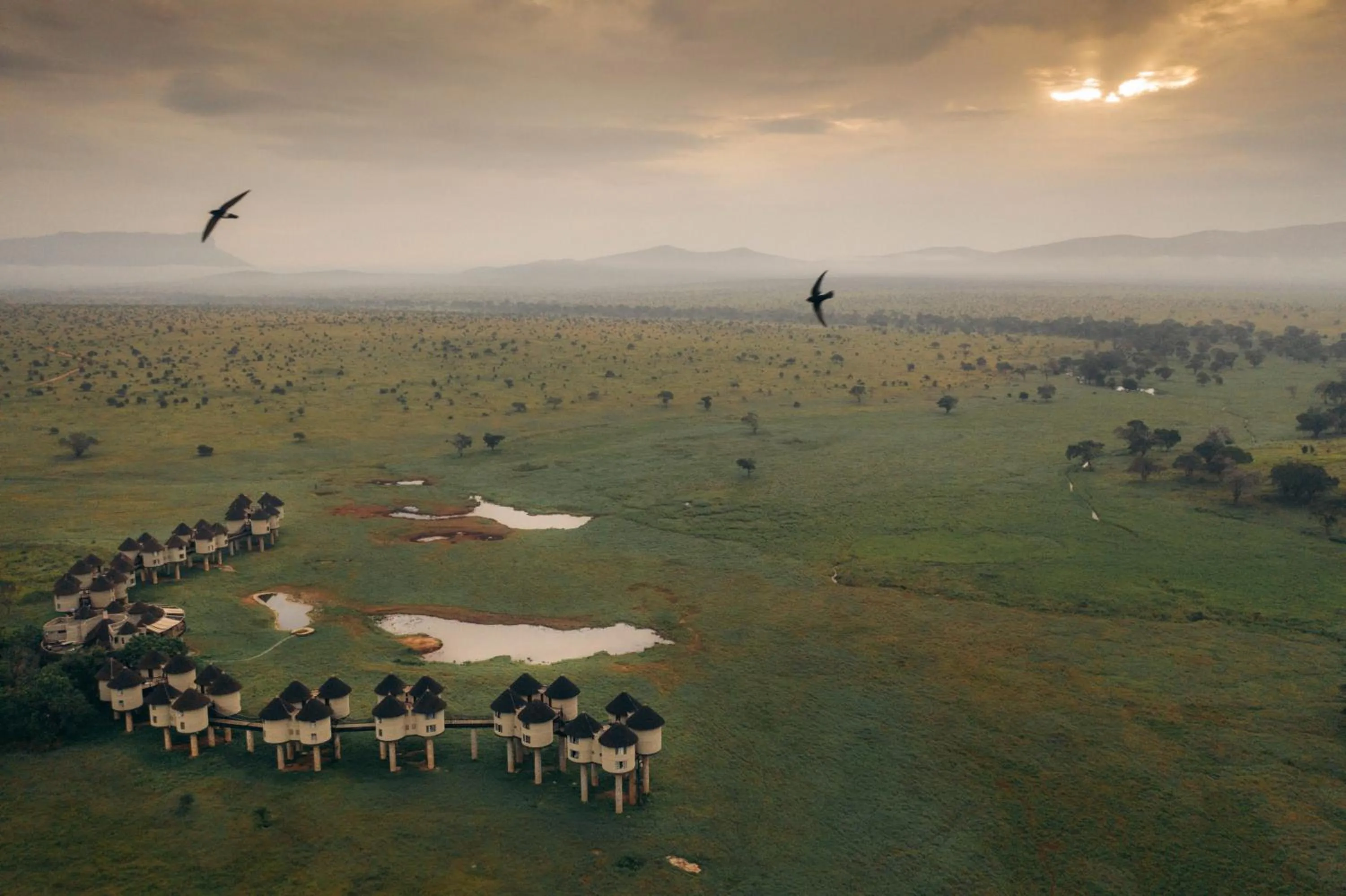 Bird's eye view in Salt Lick Safari Lodge