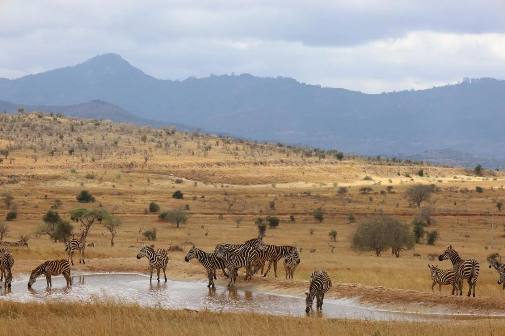 Mountain view in Salt Lick Safari Lodge