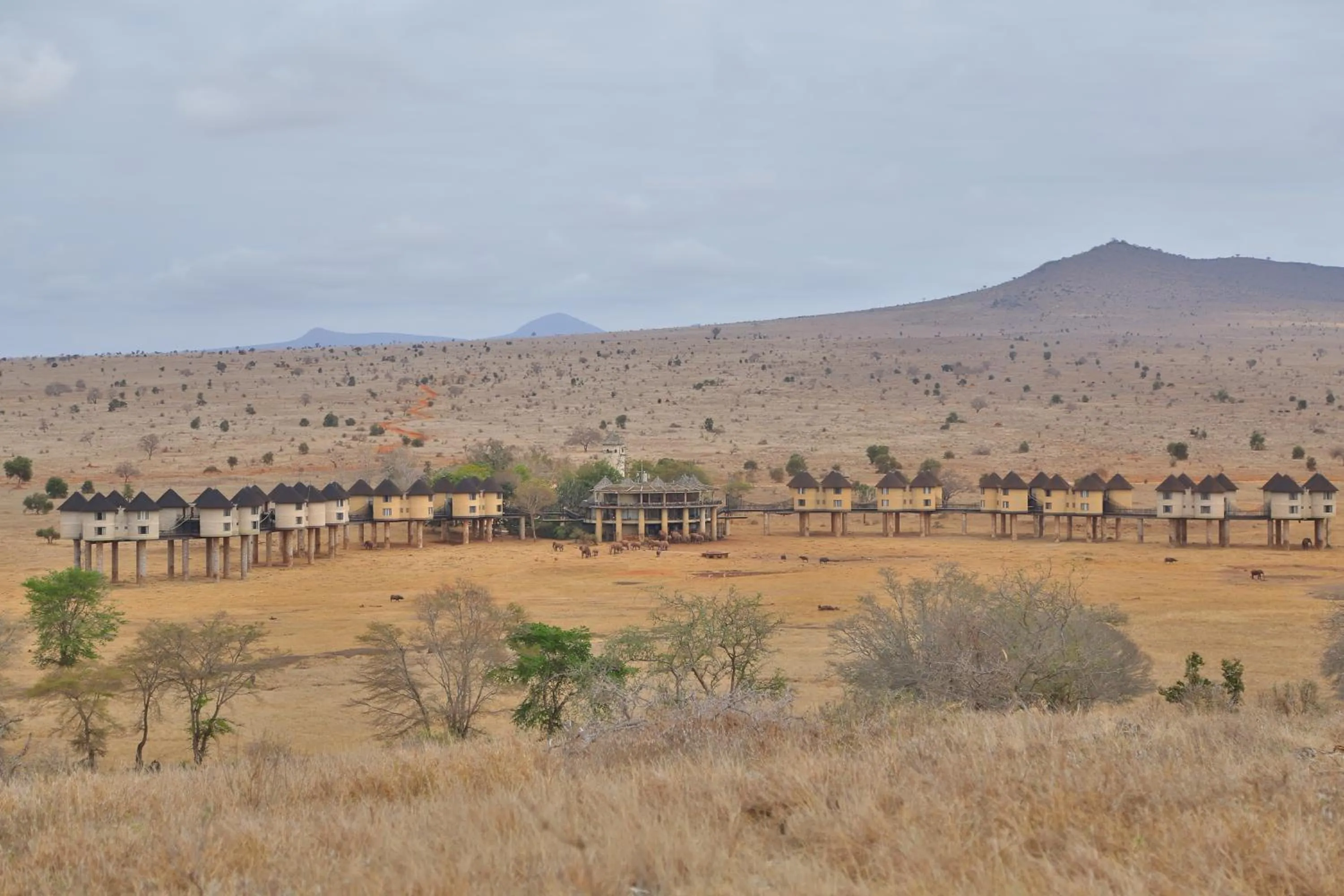 Property building in Salt Lick Safari Lodge