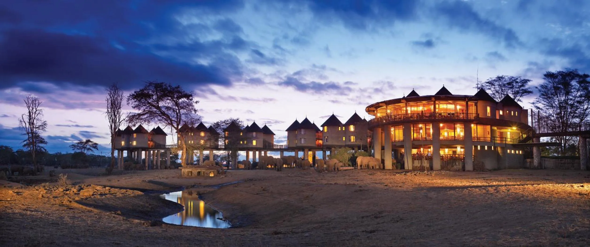 Property building in Salt Lick Safari Lodge