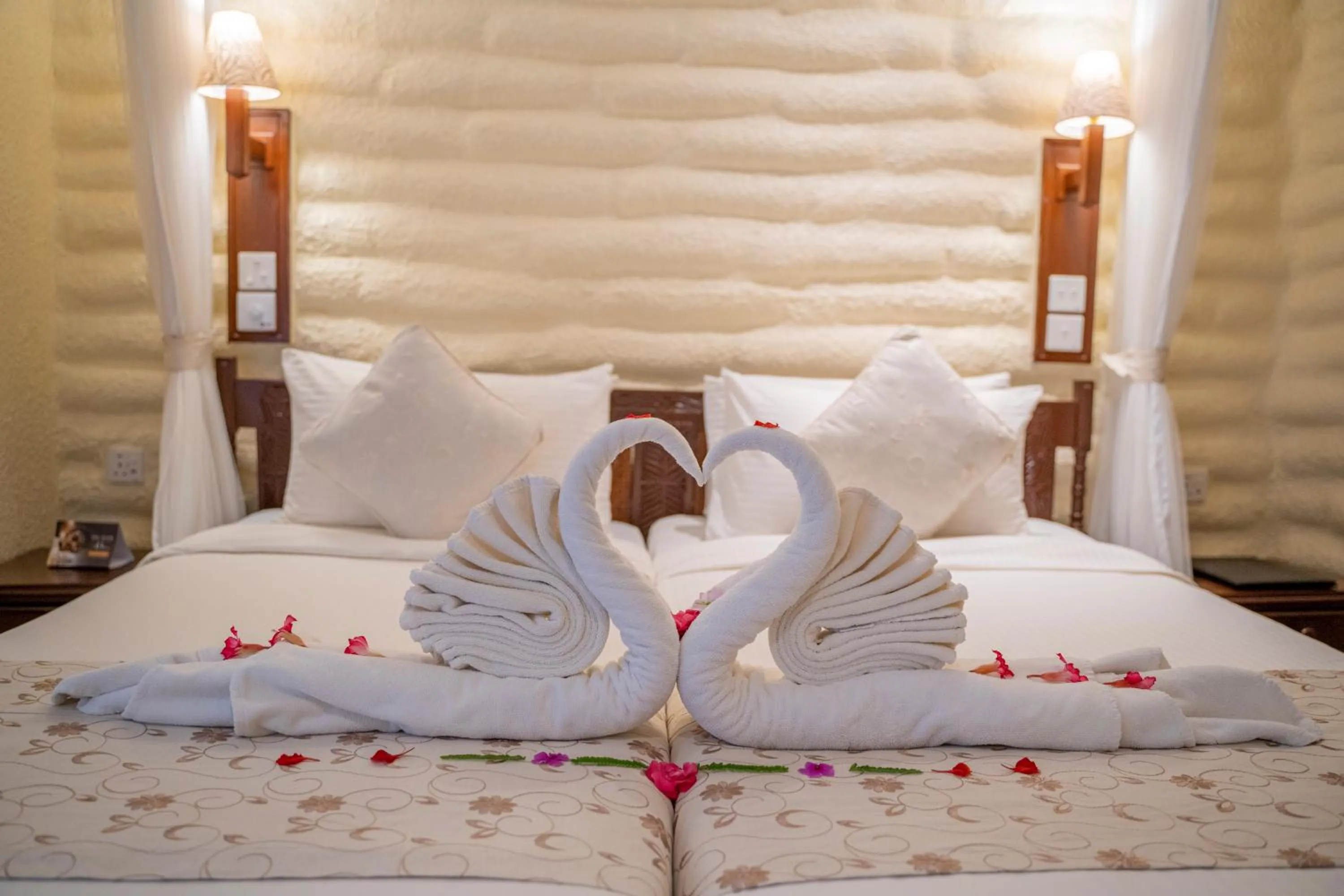 Bed in Salt Lick Safari Lodge