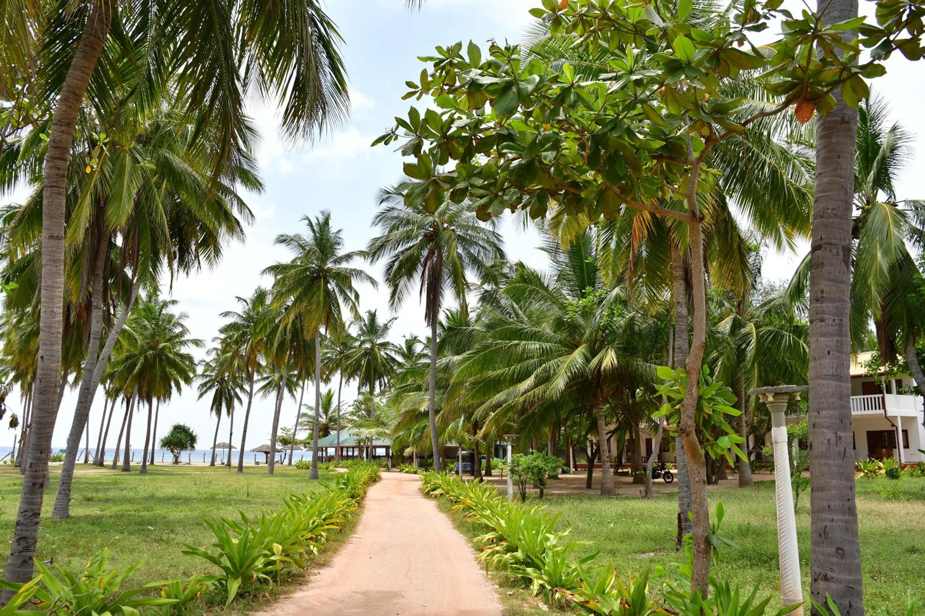 Garden view in Sea Way Hotel
