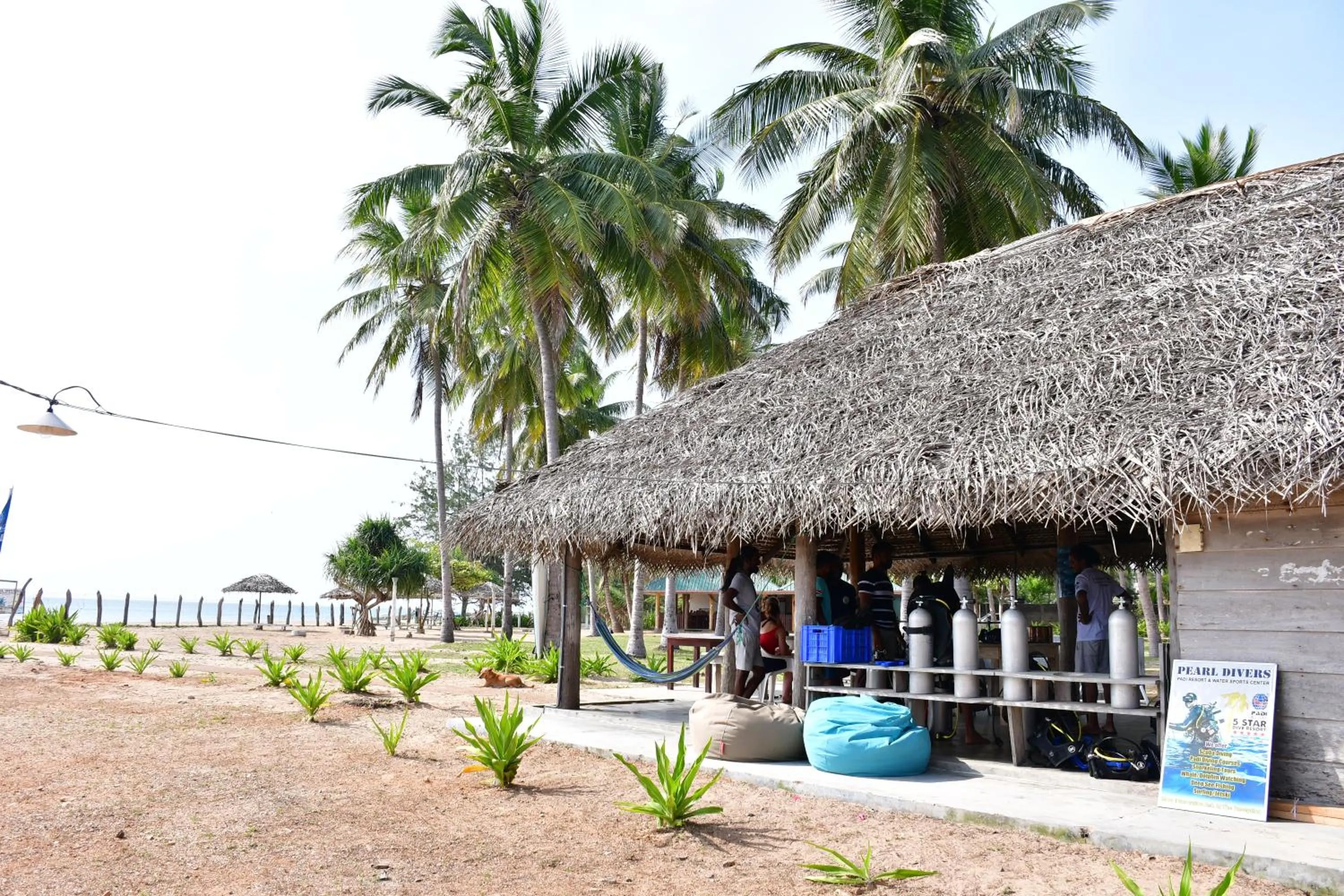 Diving in Sea Way Hotel