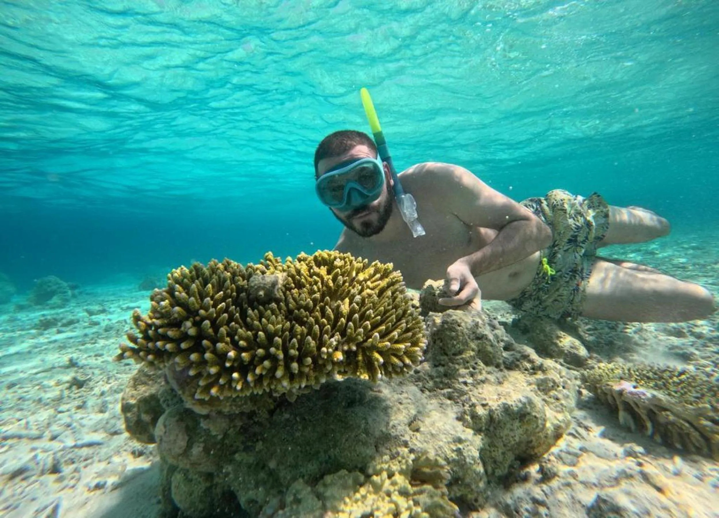 People in Adroit Beach Inn