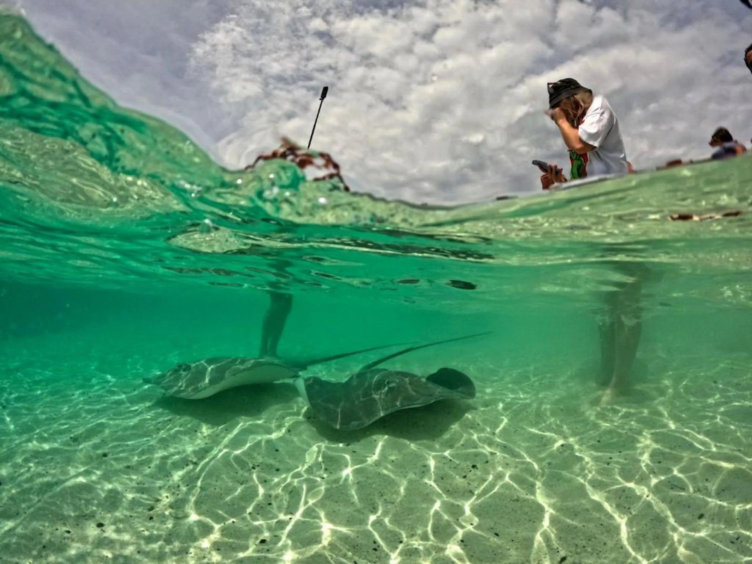 Day in Adroit Beach Inn