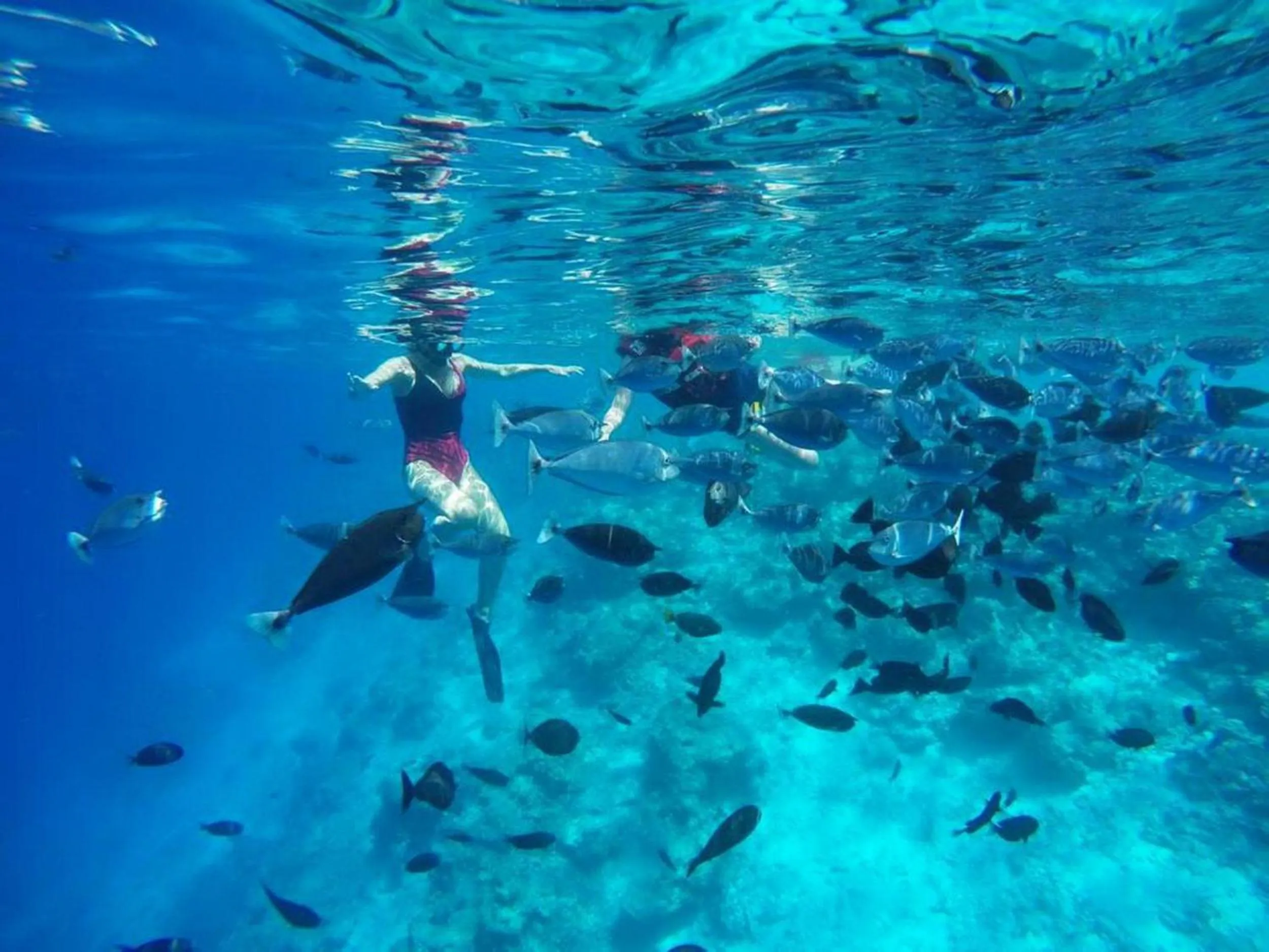 People in Adroit Beach Inn