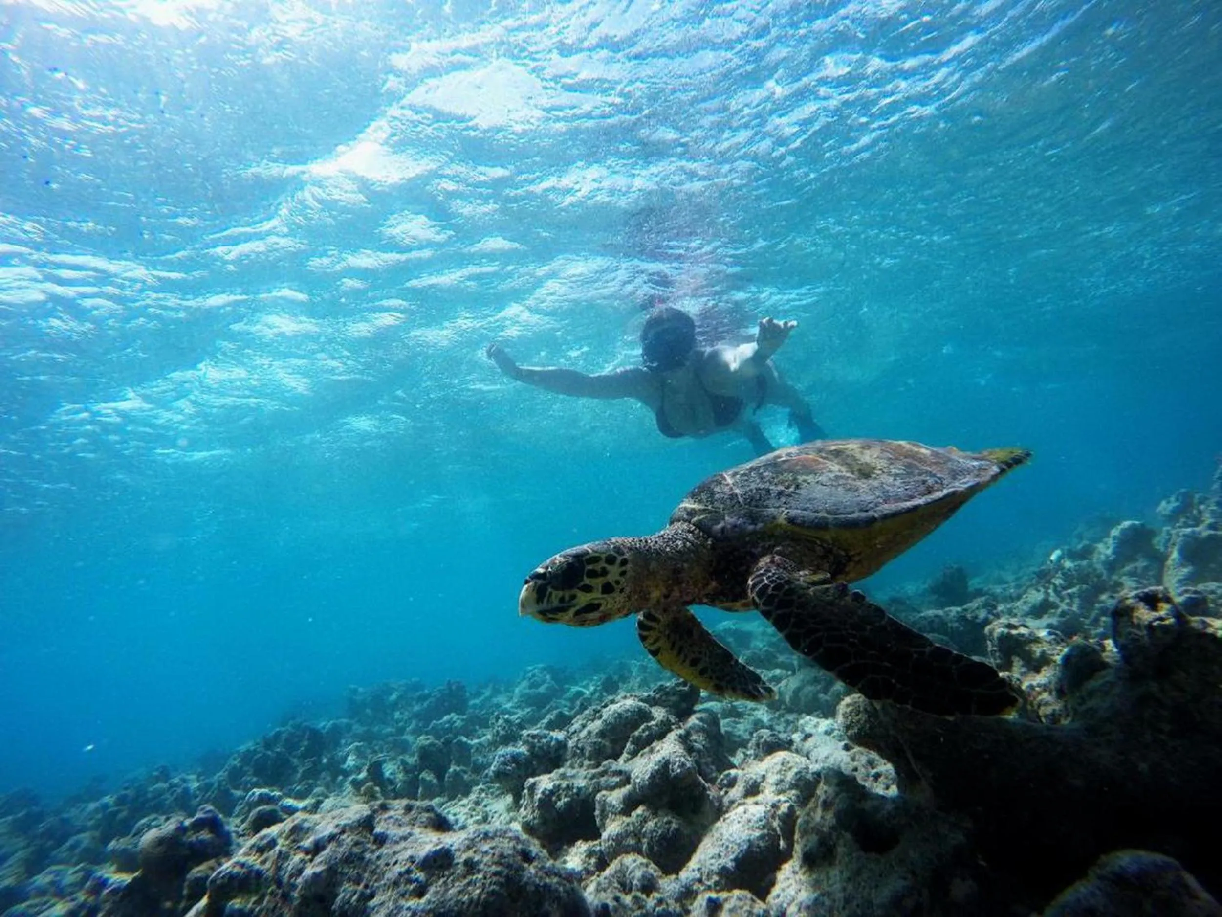 People in Adroit Beach Inn