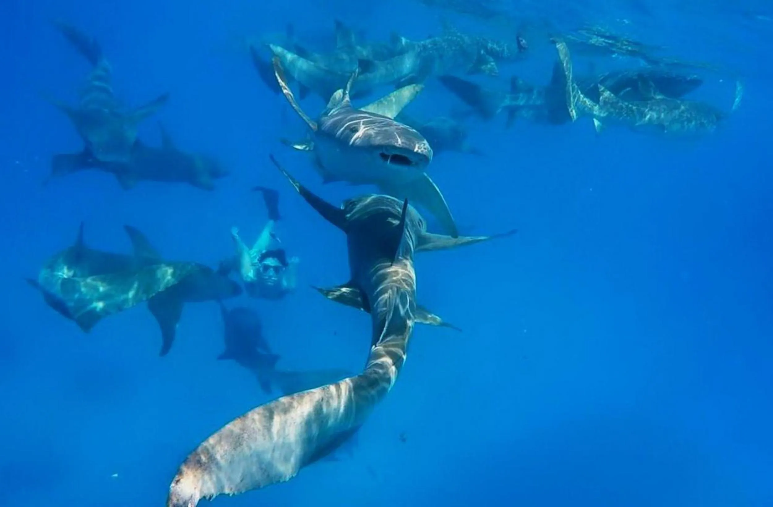 People in Adroit Beach Inn