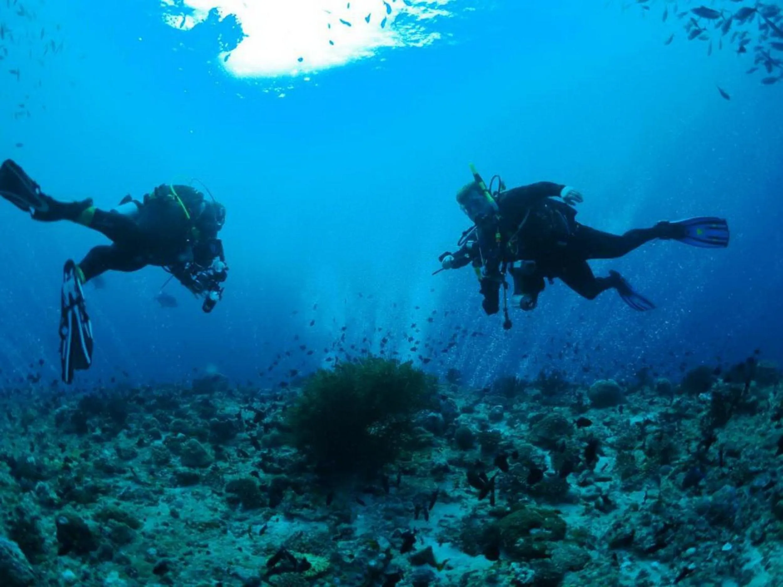 People in Adroit Beach Inn