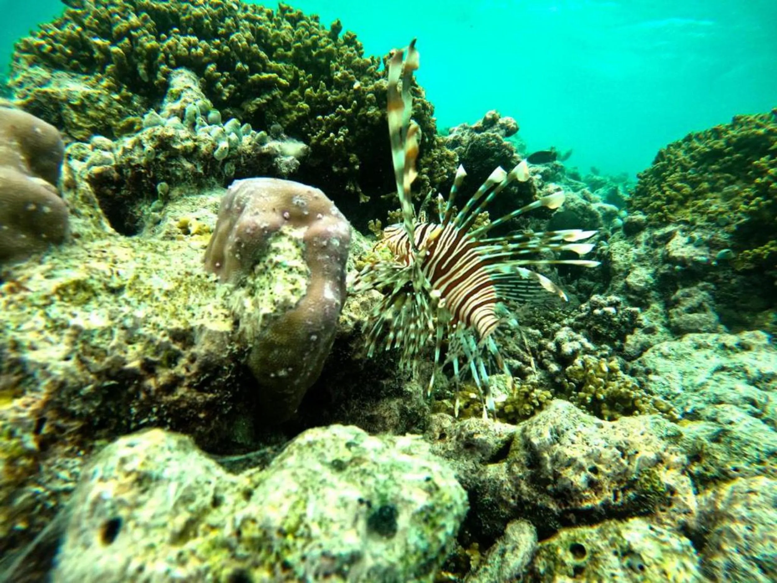 People in Adroit Beach Inn