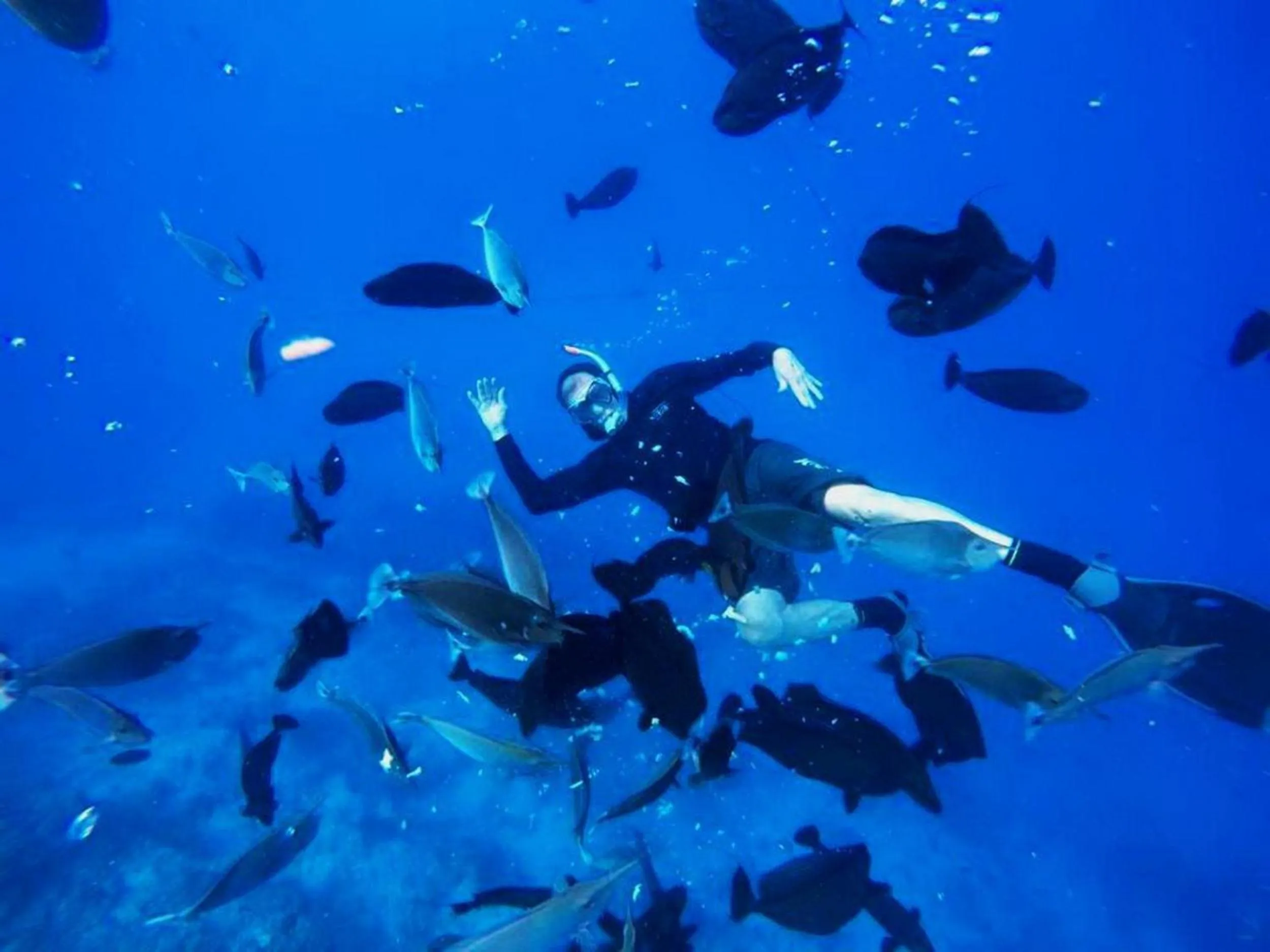 People in Adroit Beach Inn