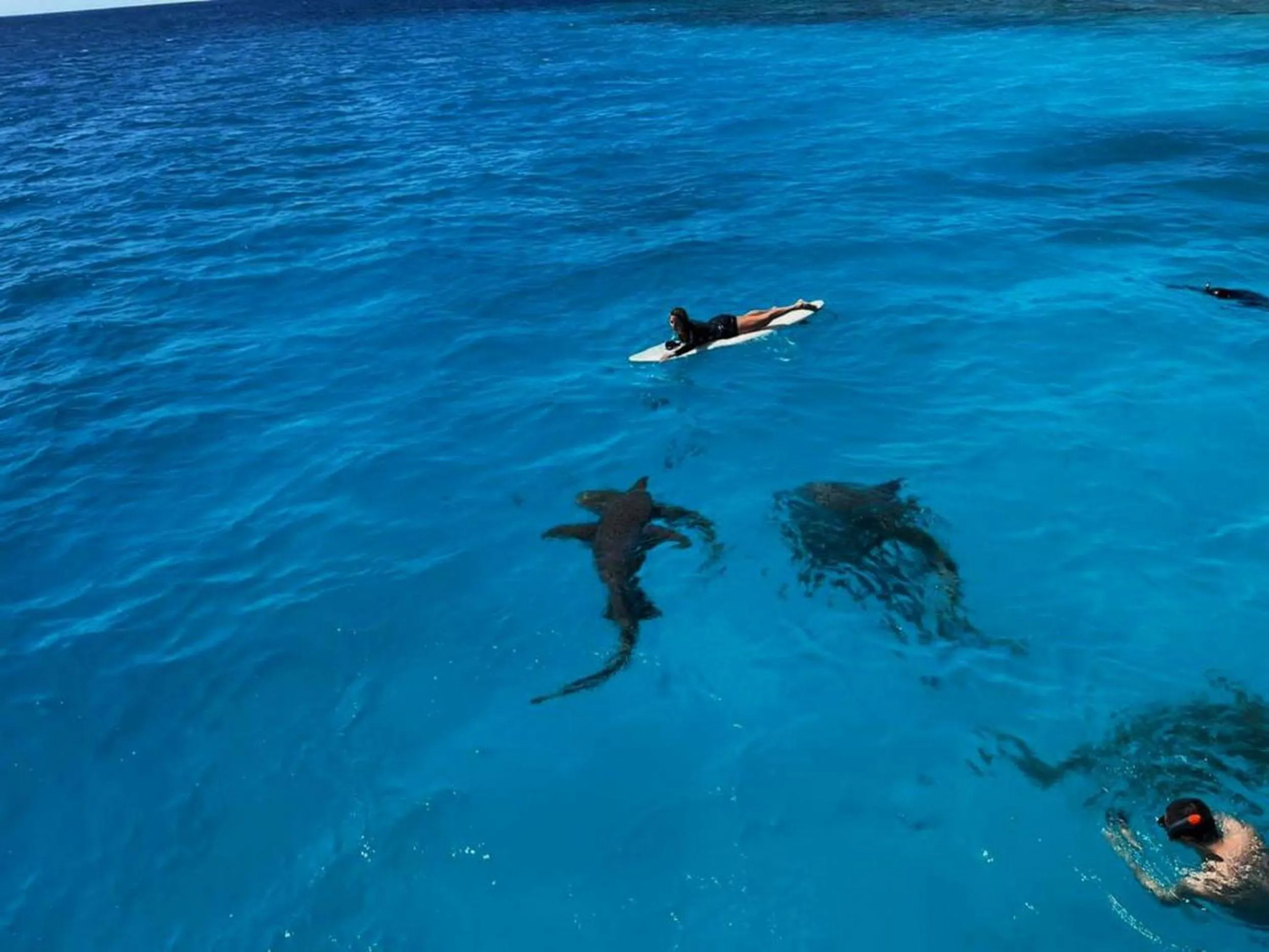 People in Adroit Beach Inn