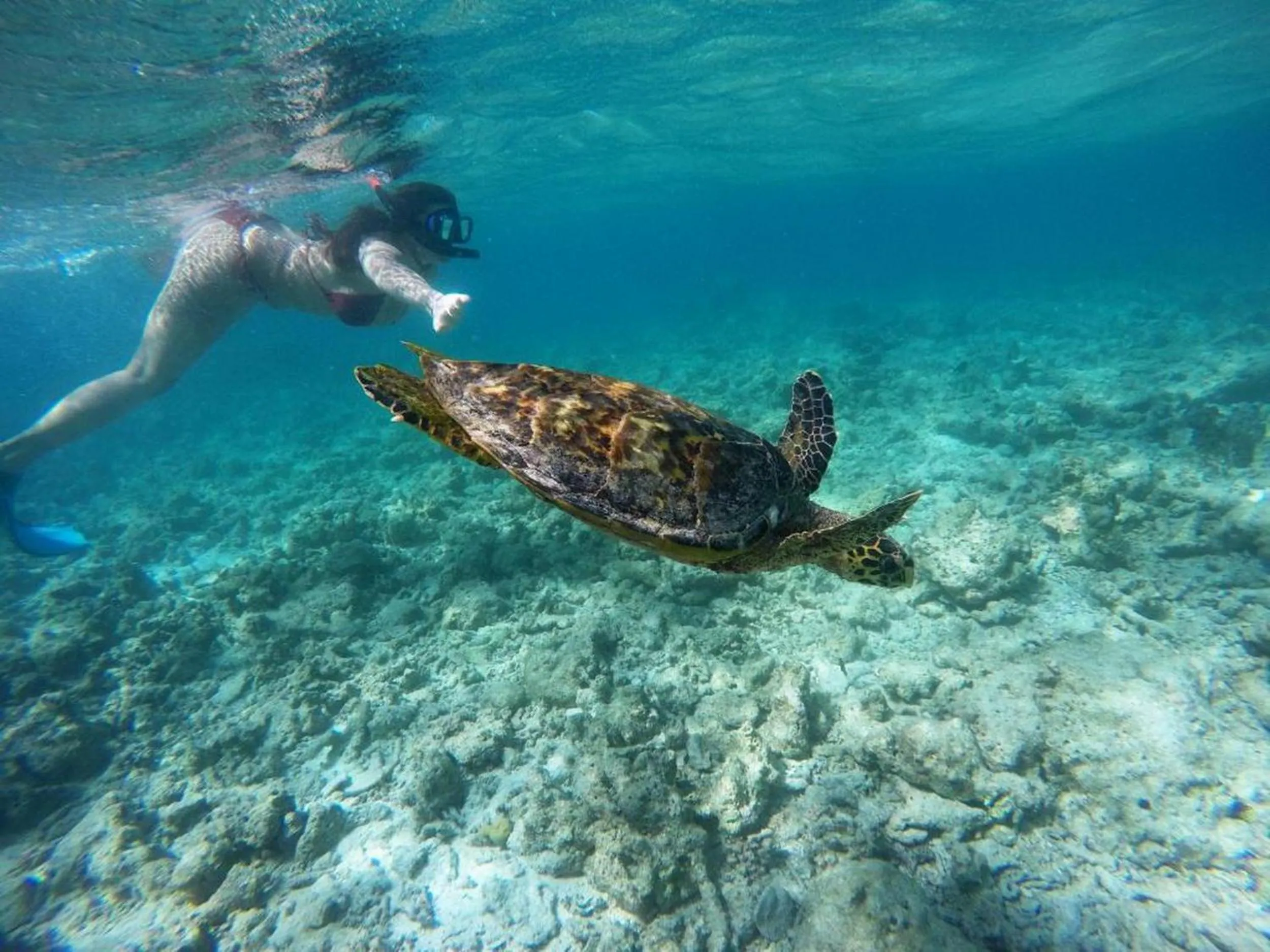 People in Adroit Beach Inn