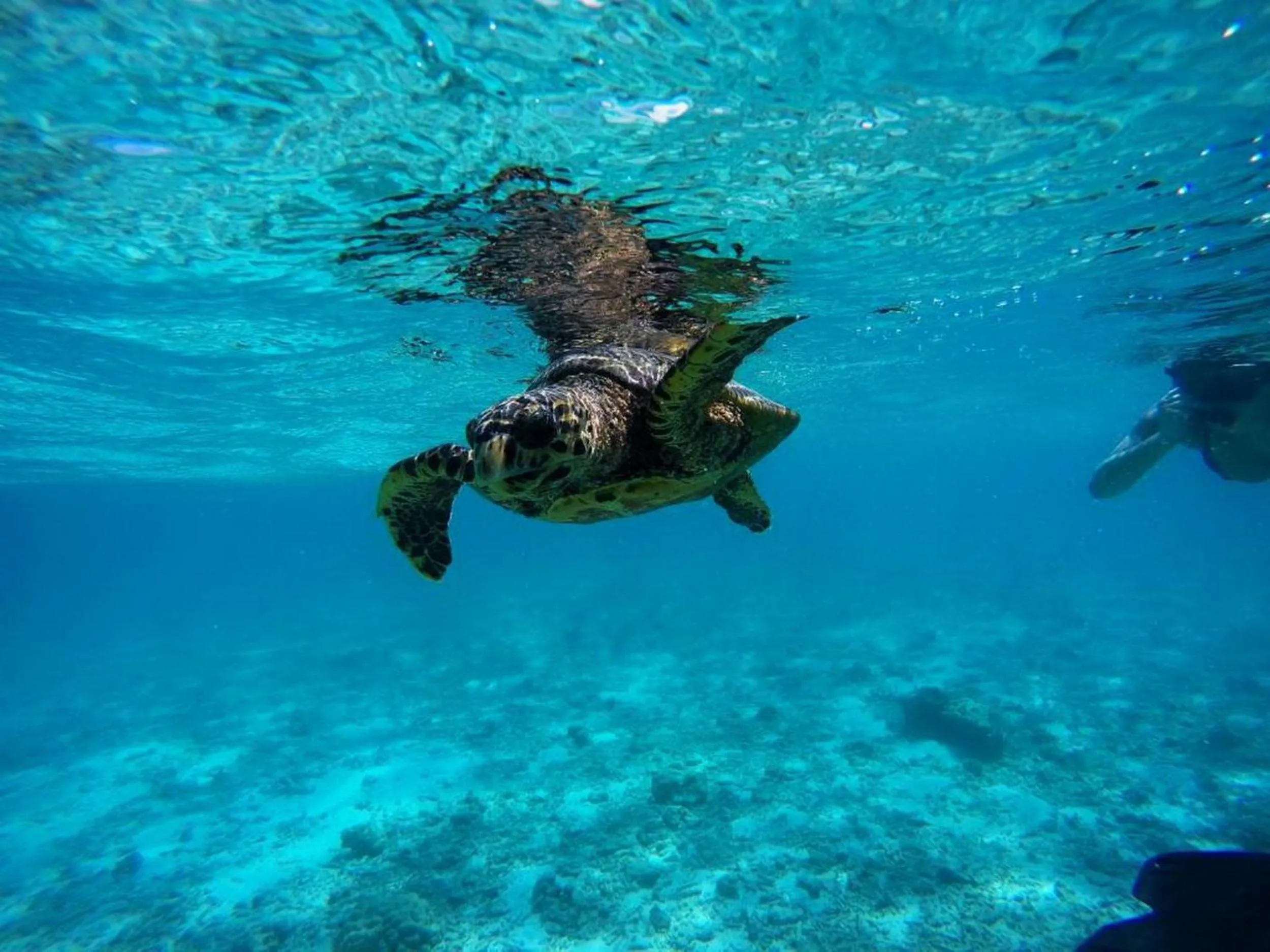 People in Adroit Beach Inn