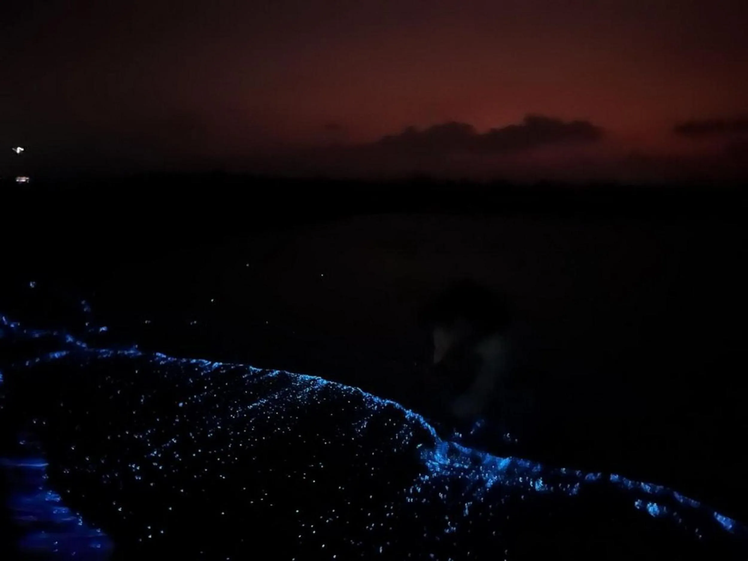 Night in Adroit Beach Inn