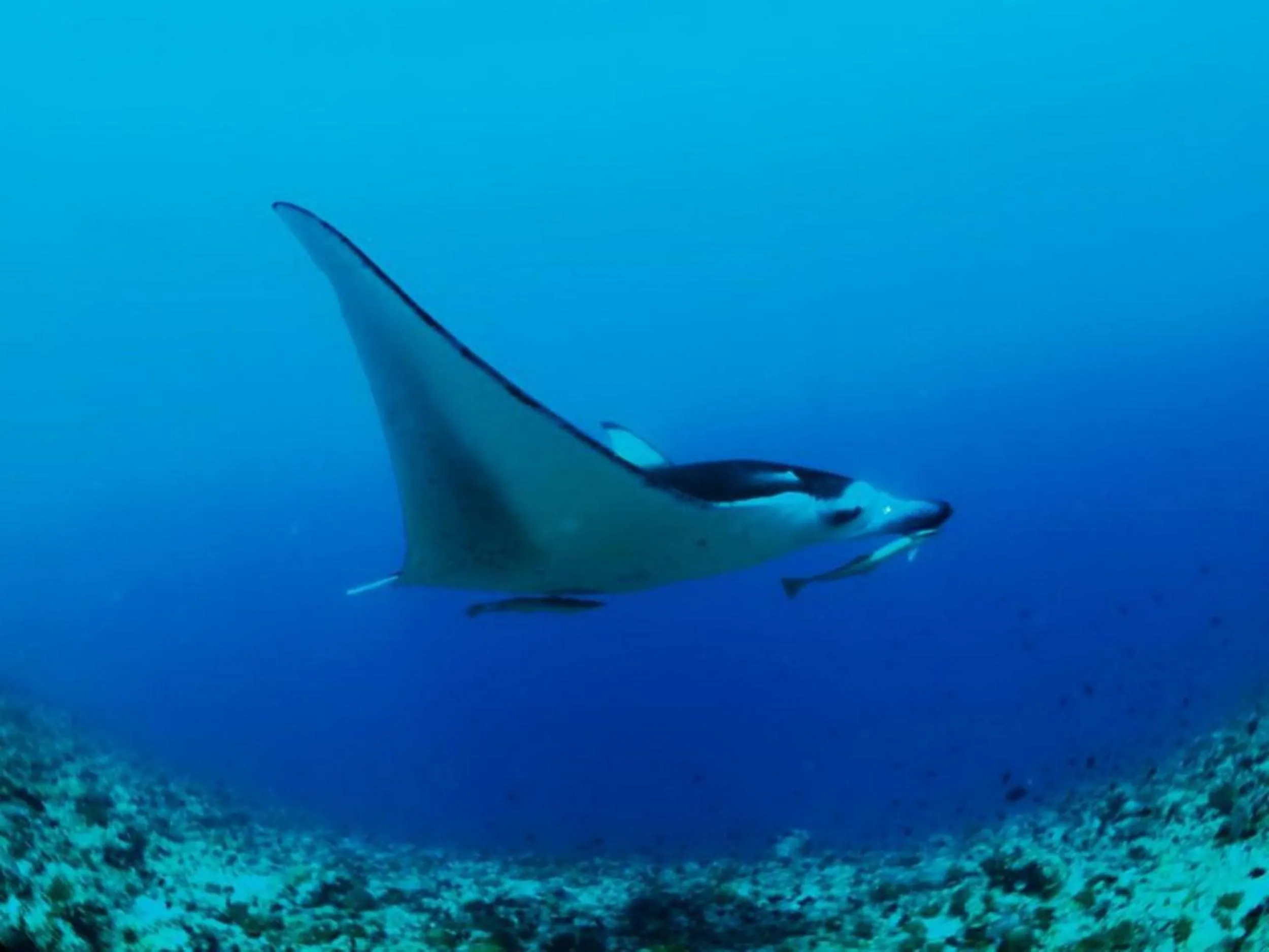 People in Adroit Beach Inn