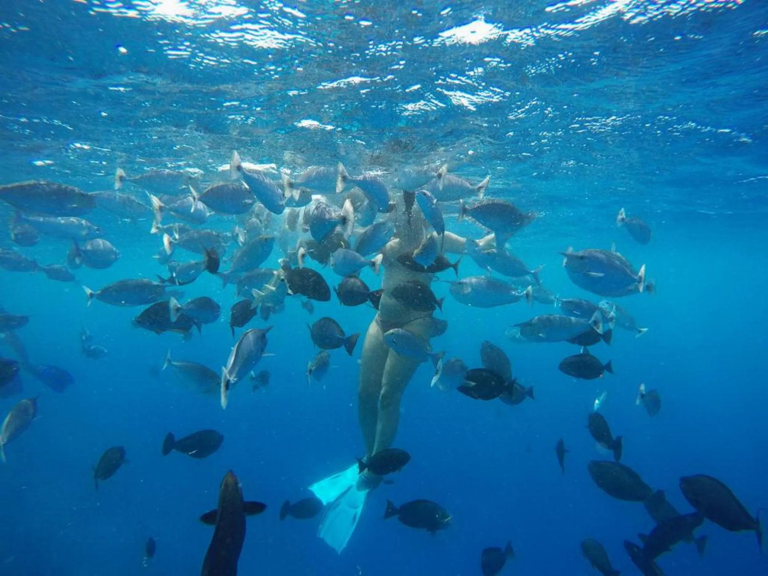 People in Adroit Beach Inn