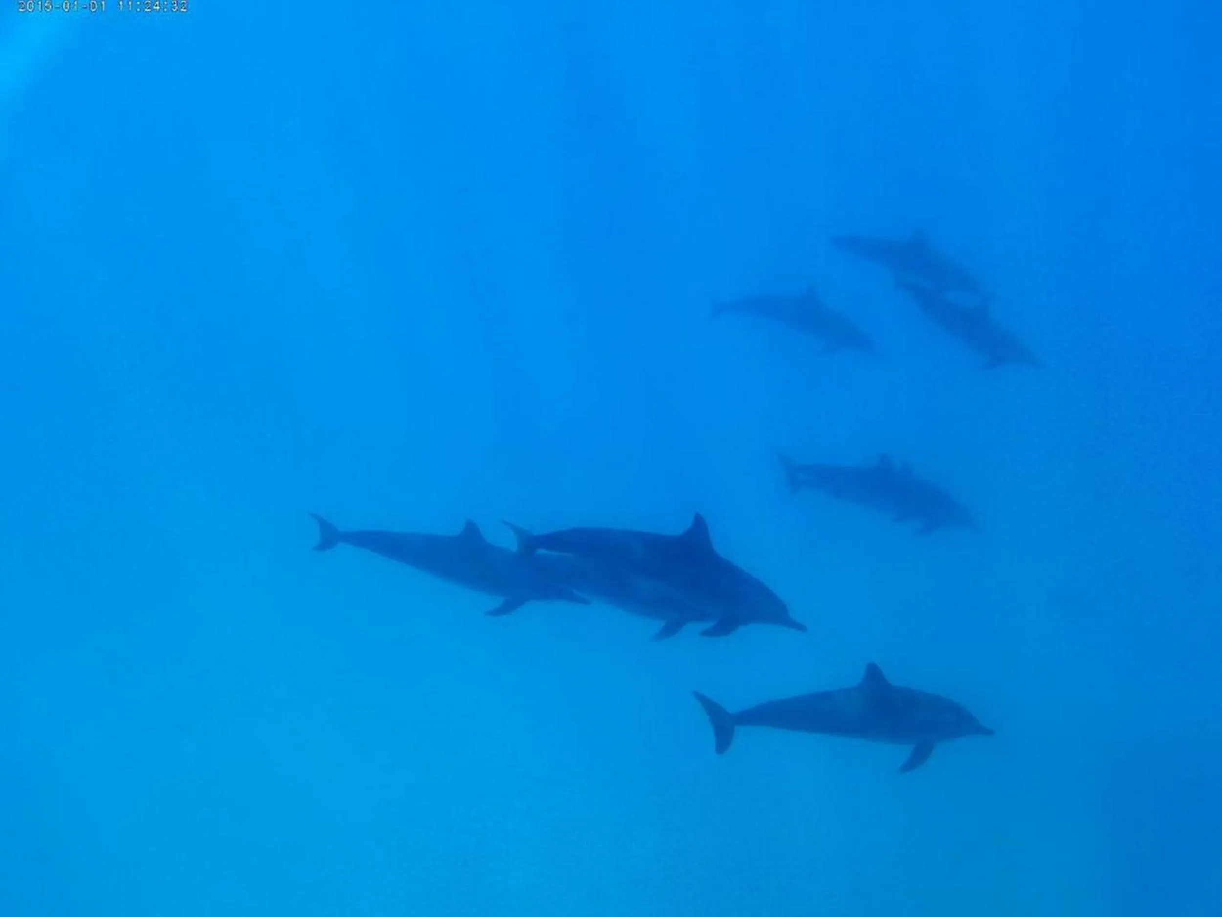 Natural landscape in Adroit Beach Inn