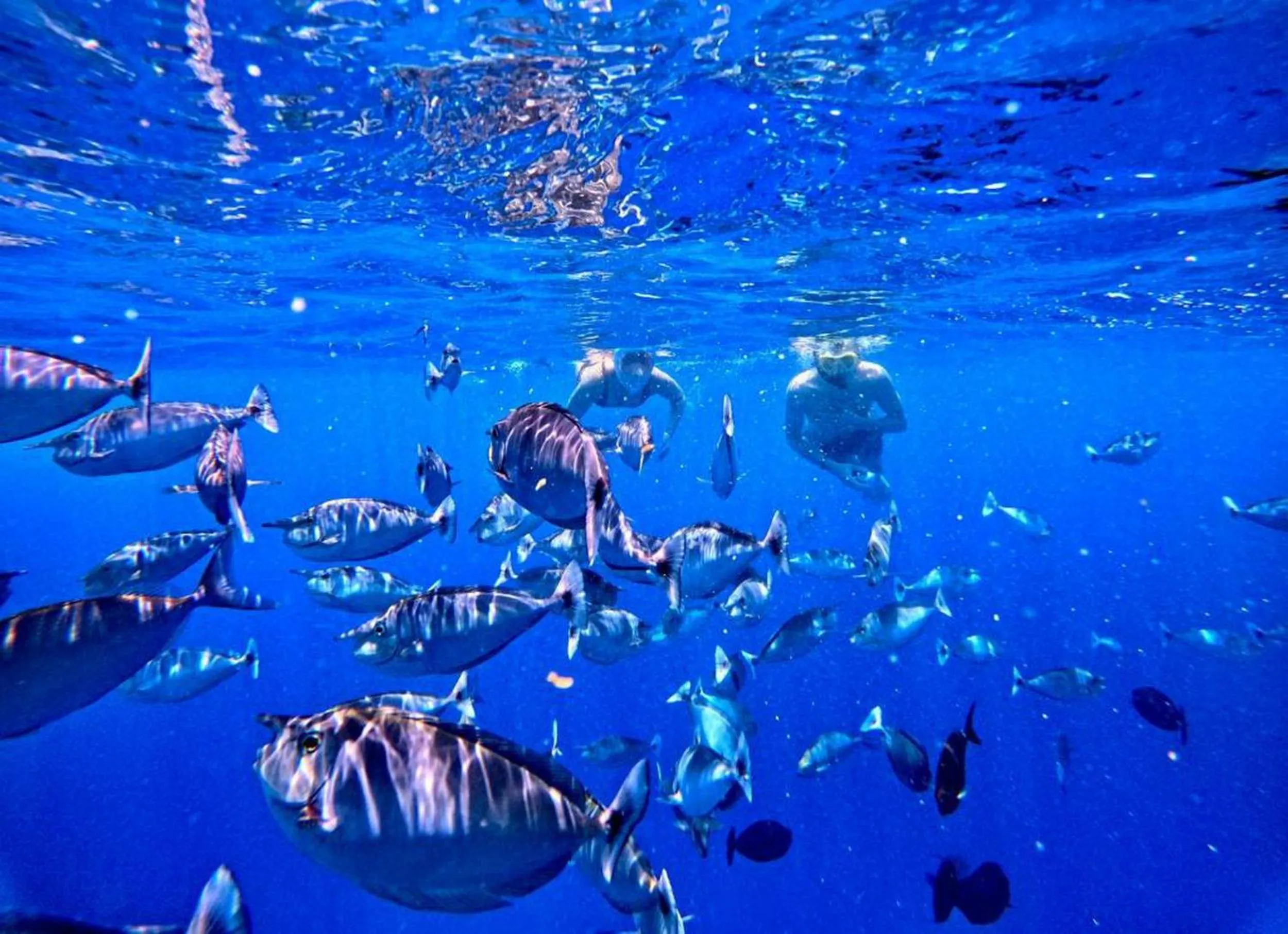 People in Adroit Beach Inn