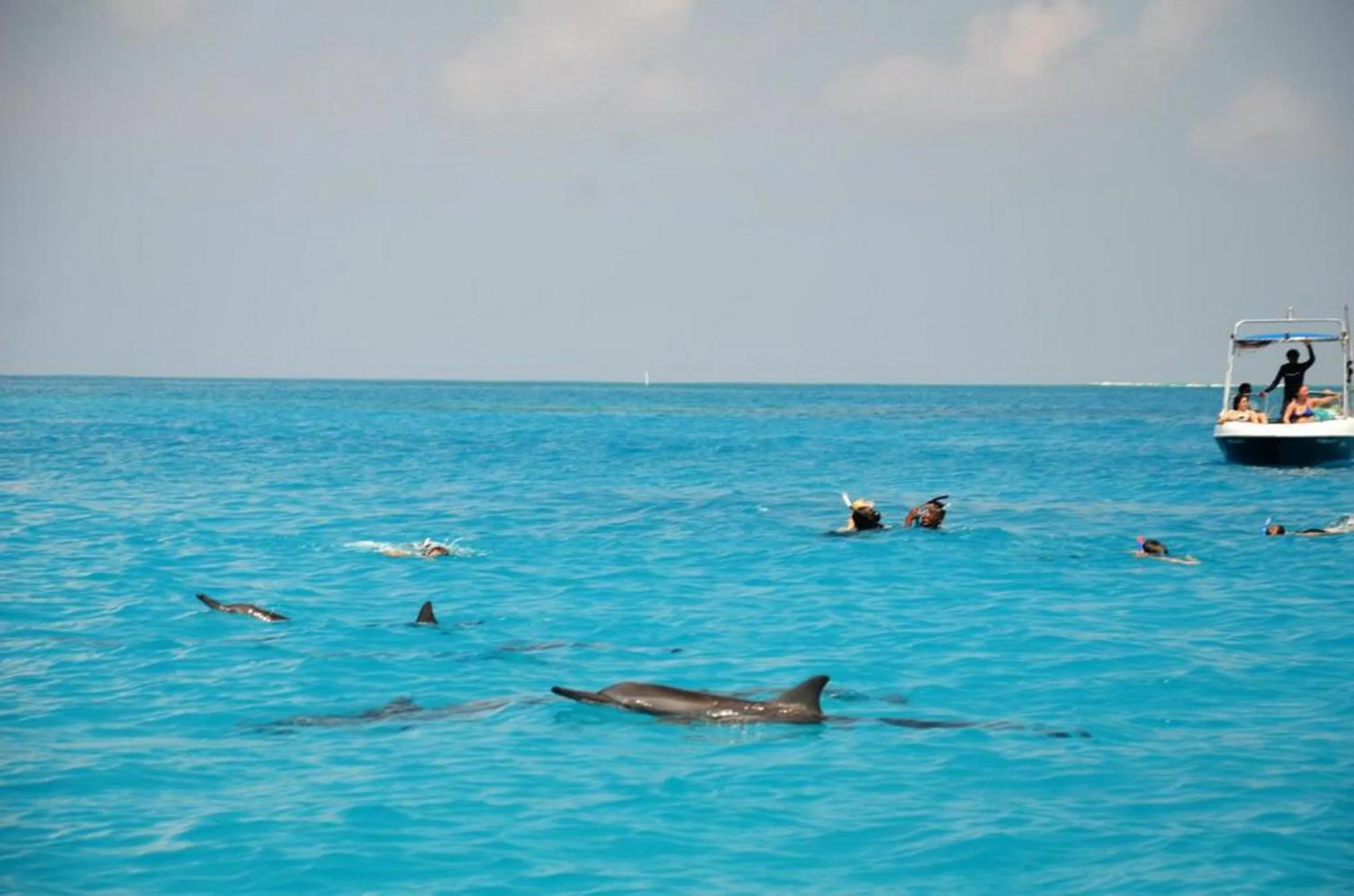 Day in Adroit Beach Inn