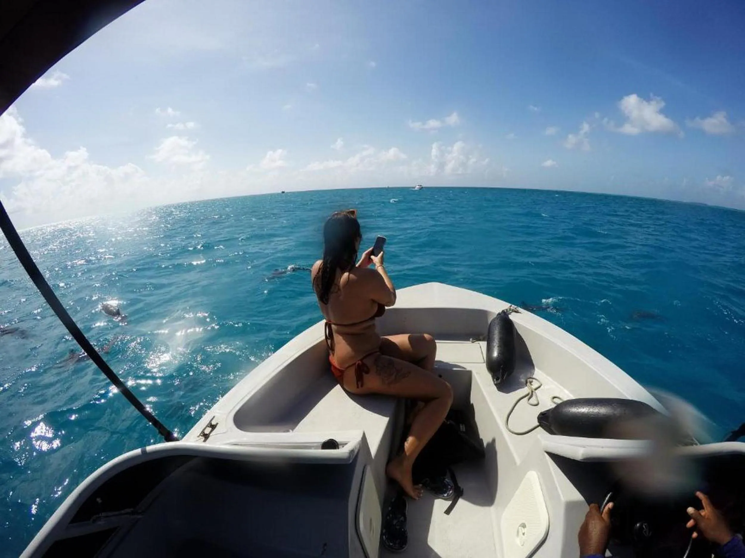 Day in Adroit Beach Inn