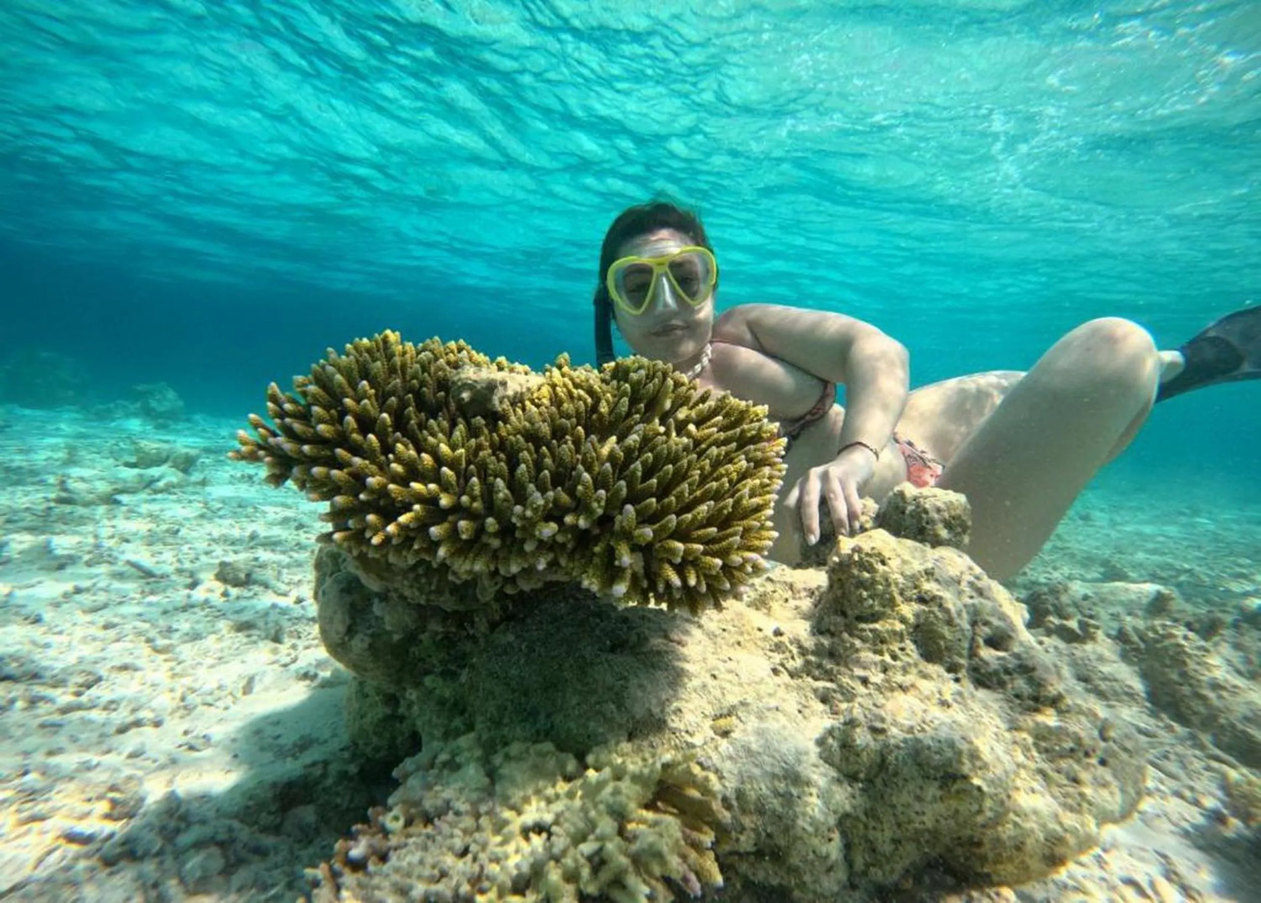 People in Adroit Beach Inn