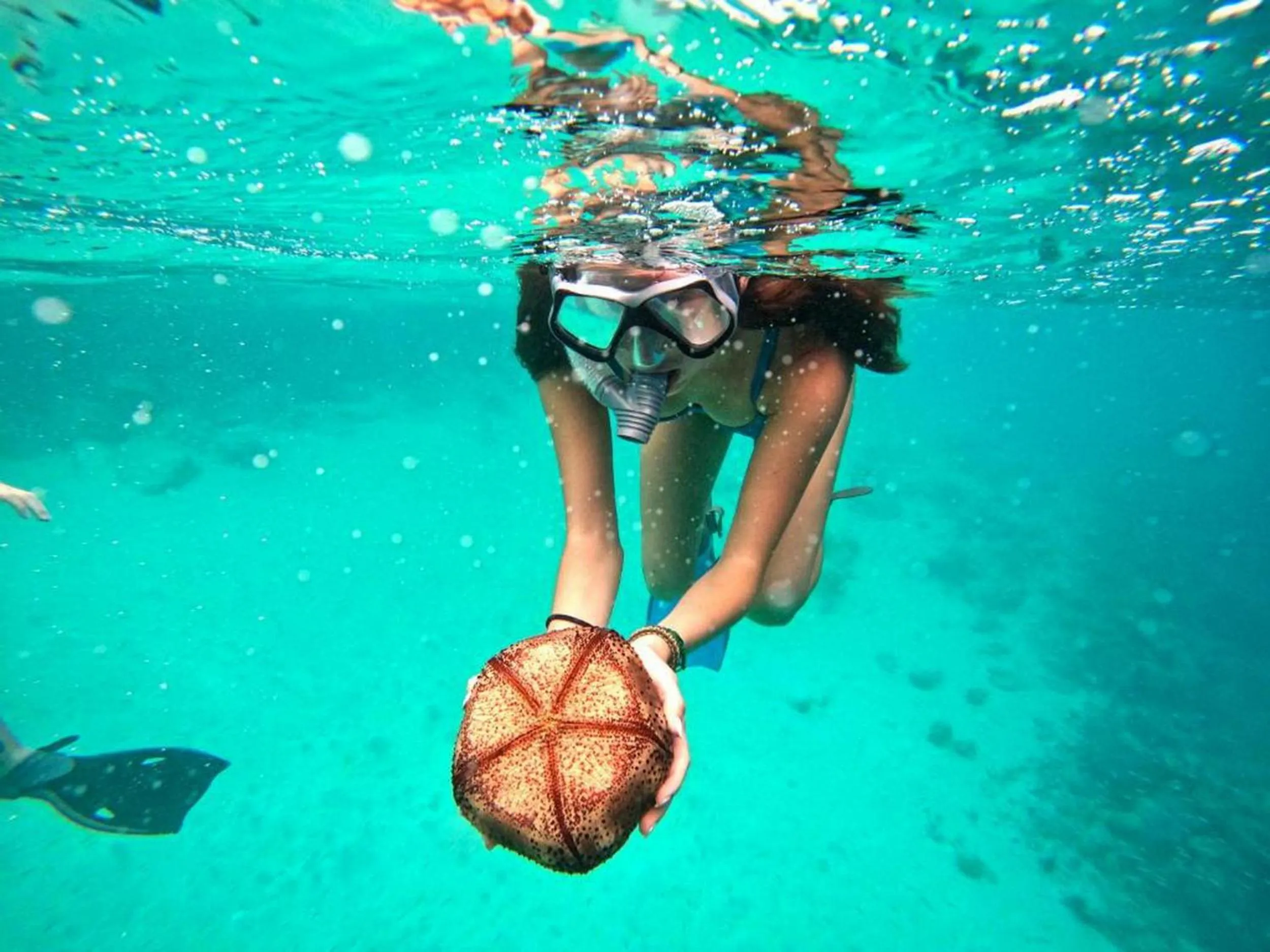 People in Adroit Beach Inn