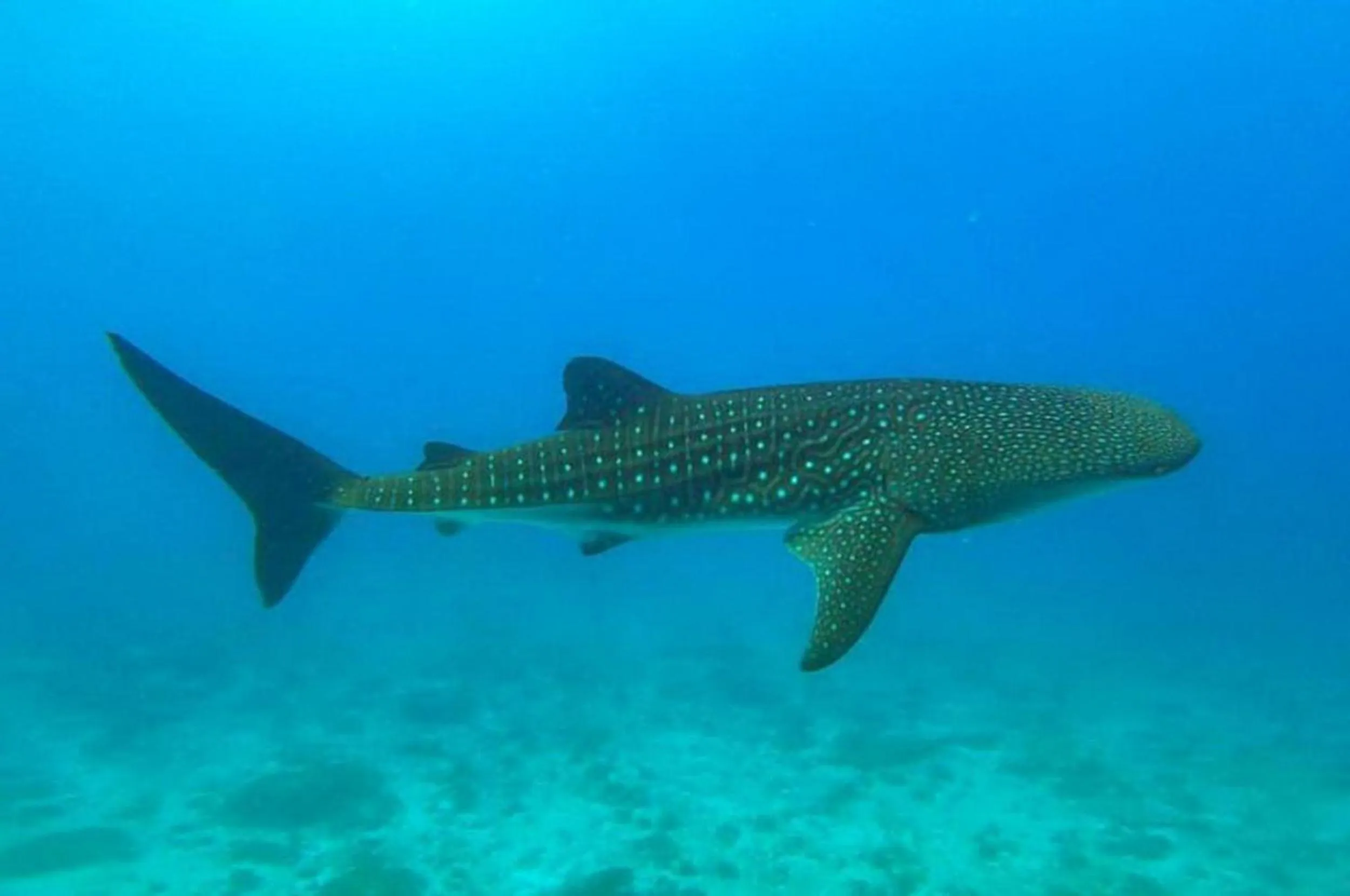 Natural landscape in Adroit Beach Inn
