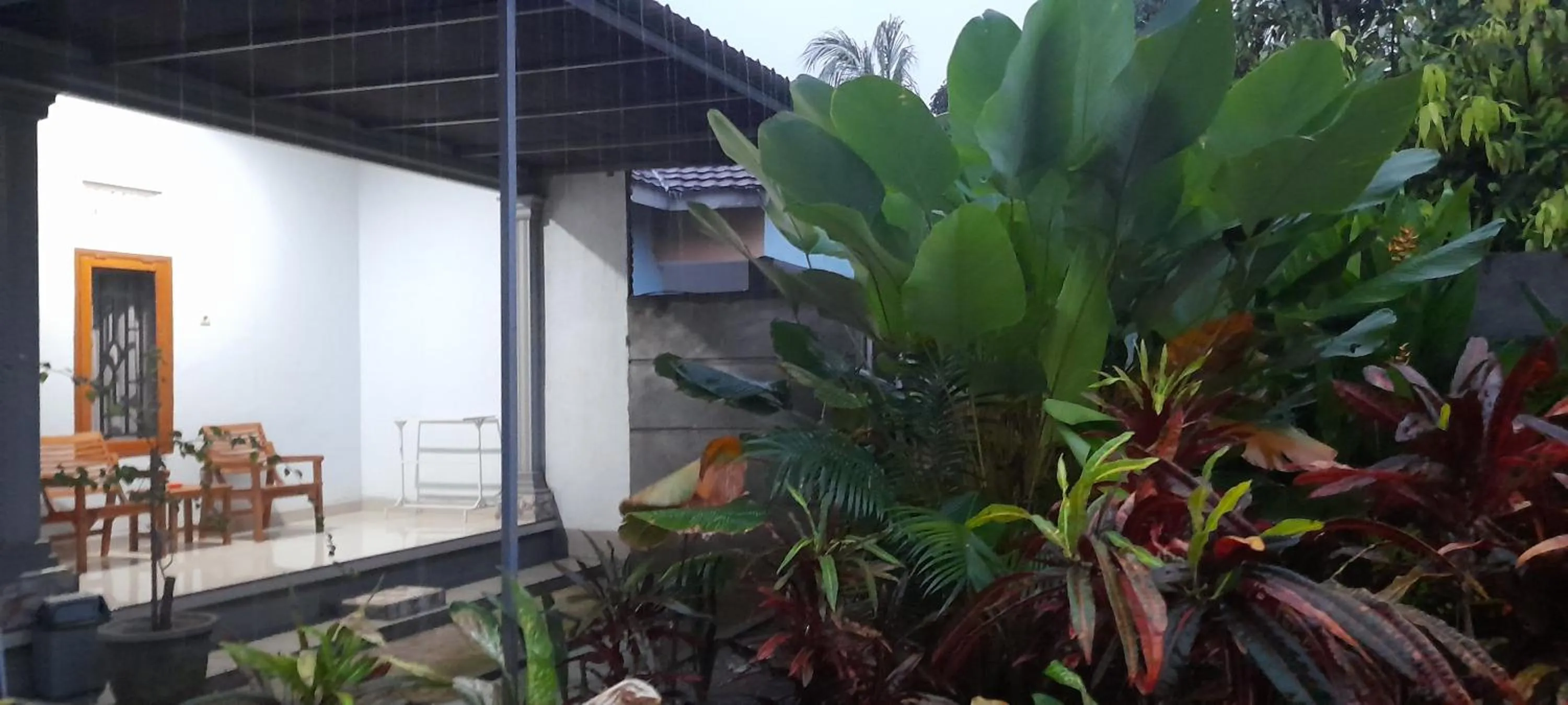 Swan Homestay