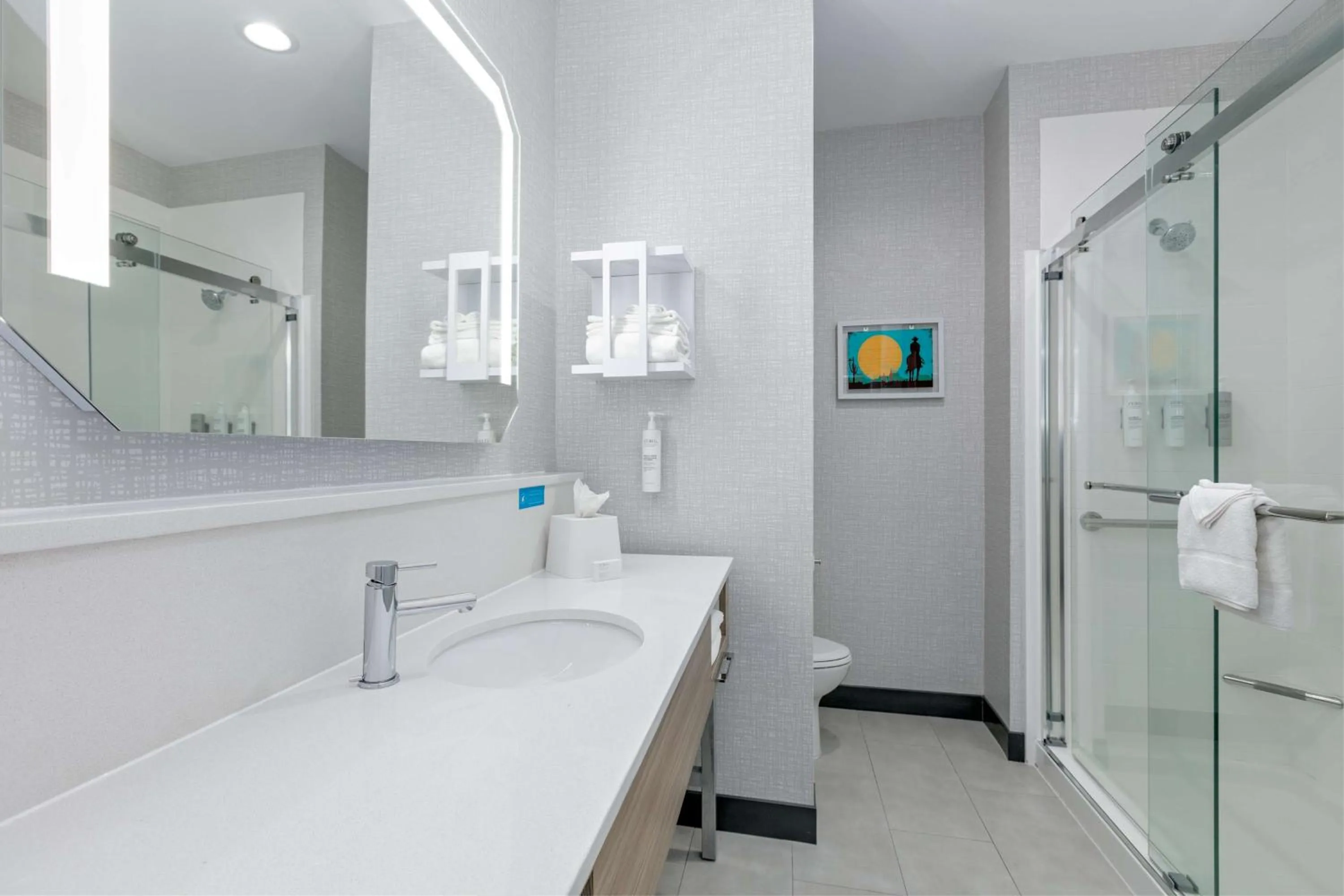 Bathroom in Hampton Inn & Suites by Hilton Shenandoah The Woodlands