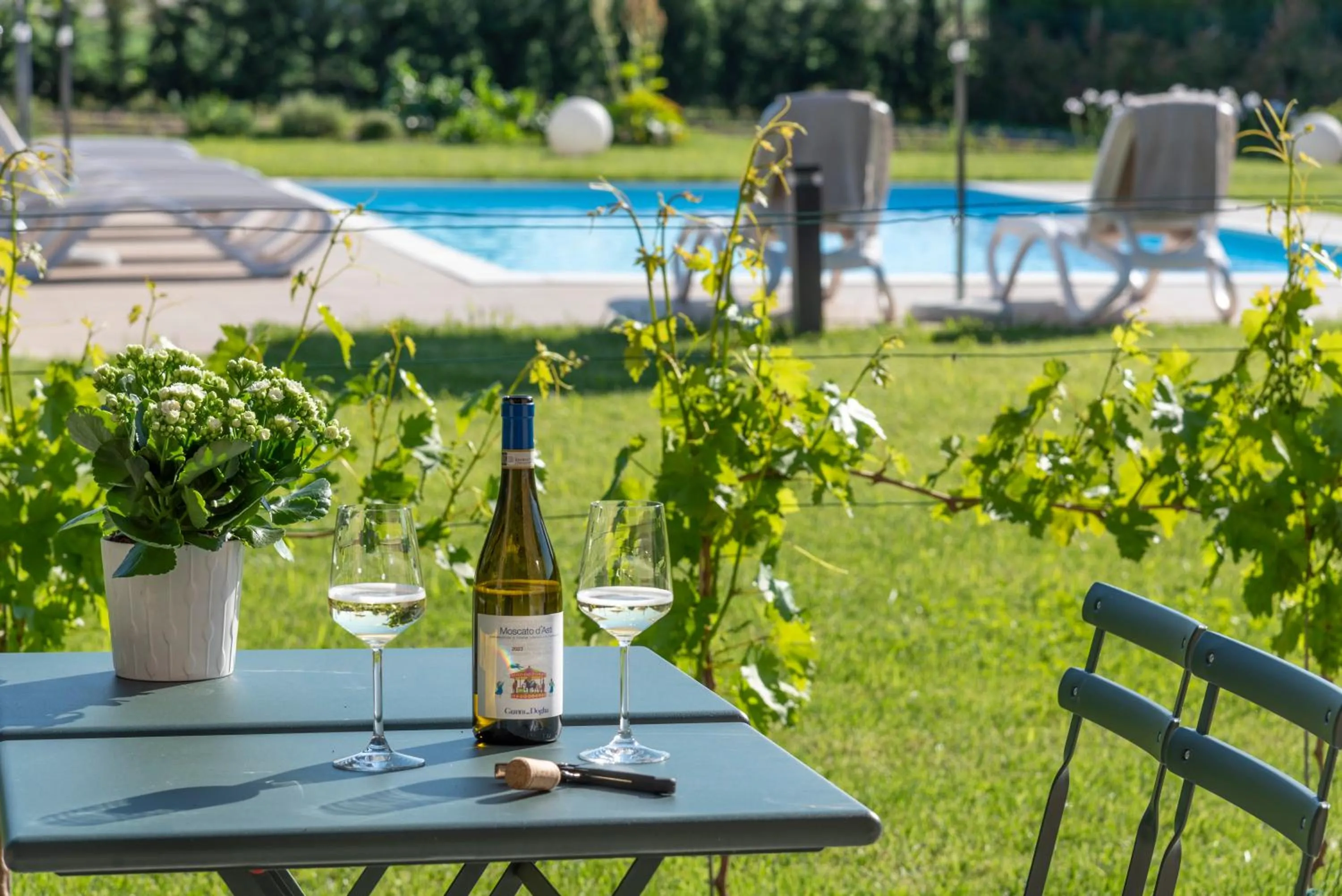 Swimming pool in Corte Bellora