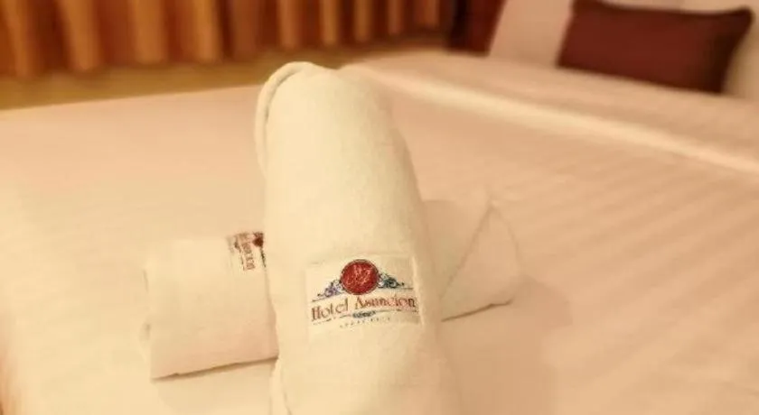 Bed in Hotel Asuncion