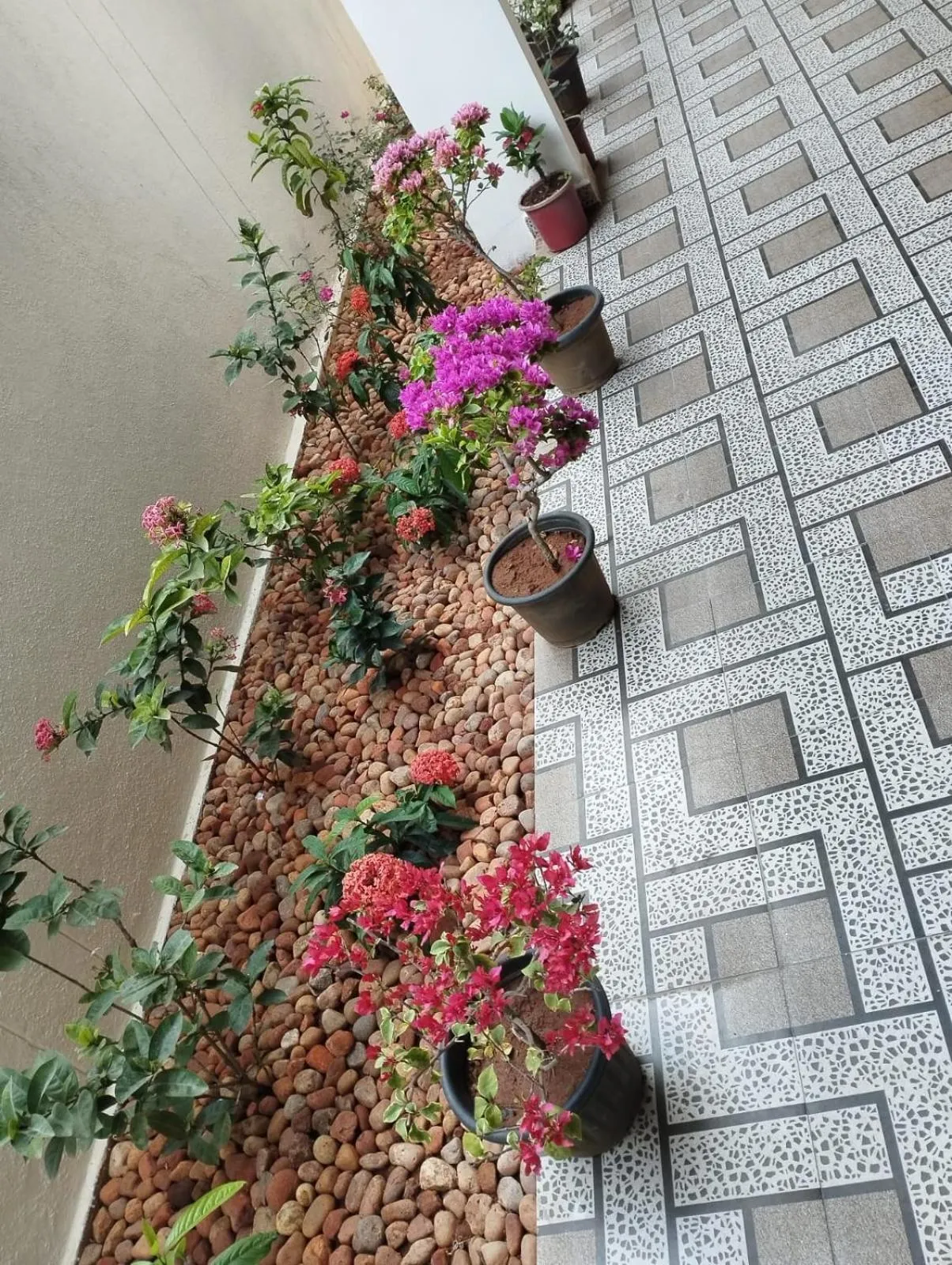 Garden in ANNAI RESIDENCY
