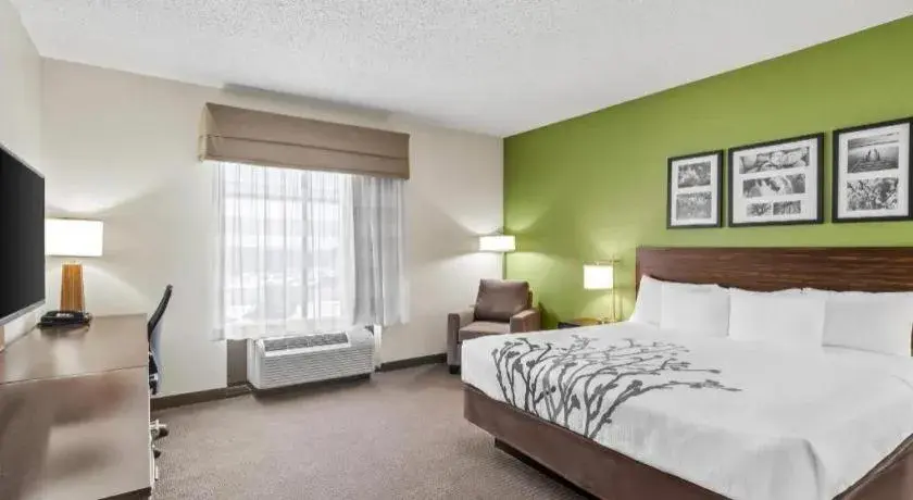 Bed in Sleep Inn & Suites Dripping Springs - Austin Area Bed in Sleep Inn & Suites Dripping Springs - Austin Area