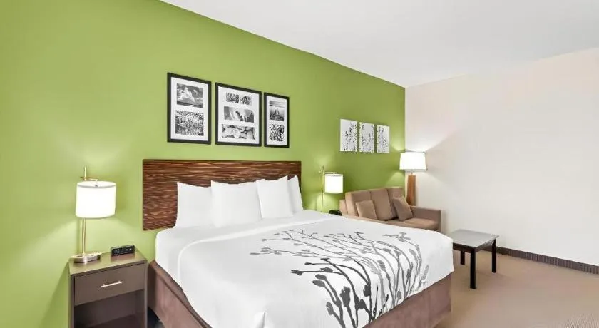 Bed in Sleep Inn & Suites Dripping Springs - Austin Area