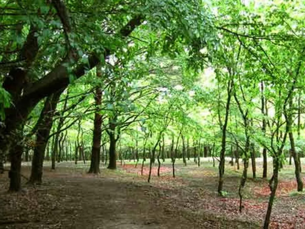 Kirishima Onsen Ryokojin Sanso