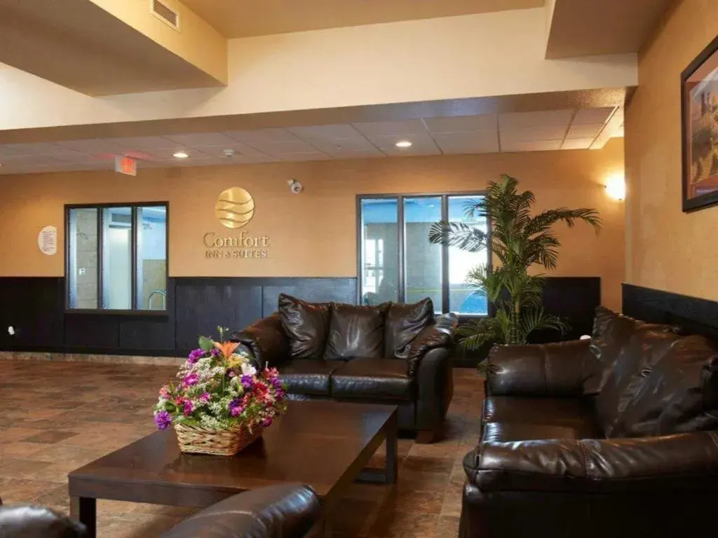 Comfort Inn & Suites Comfort Inn & Suites