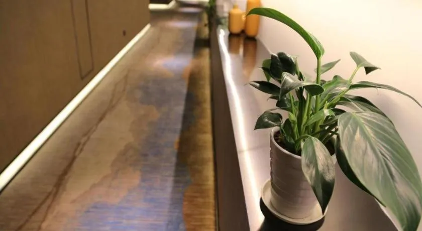 Qingdao Elegance Hotel