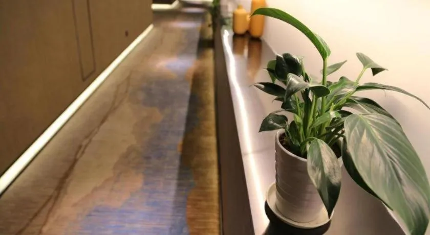 Qingdao Elegance Hotel