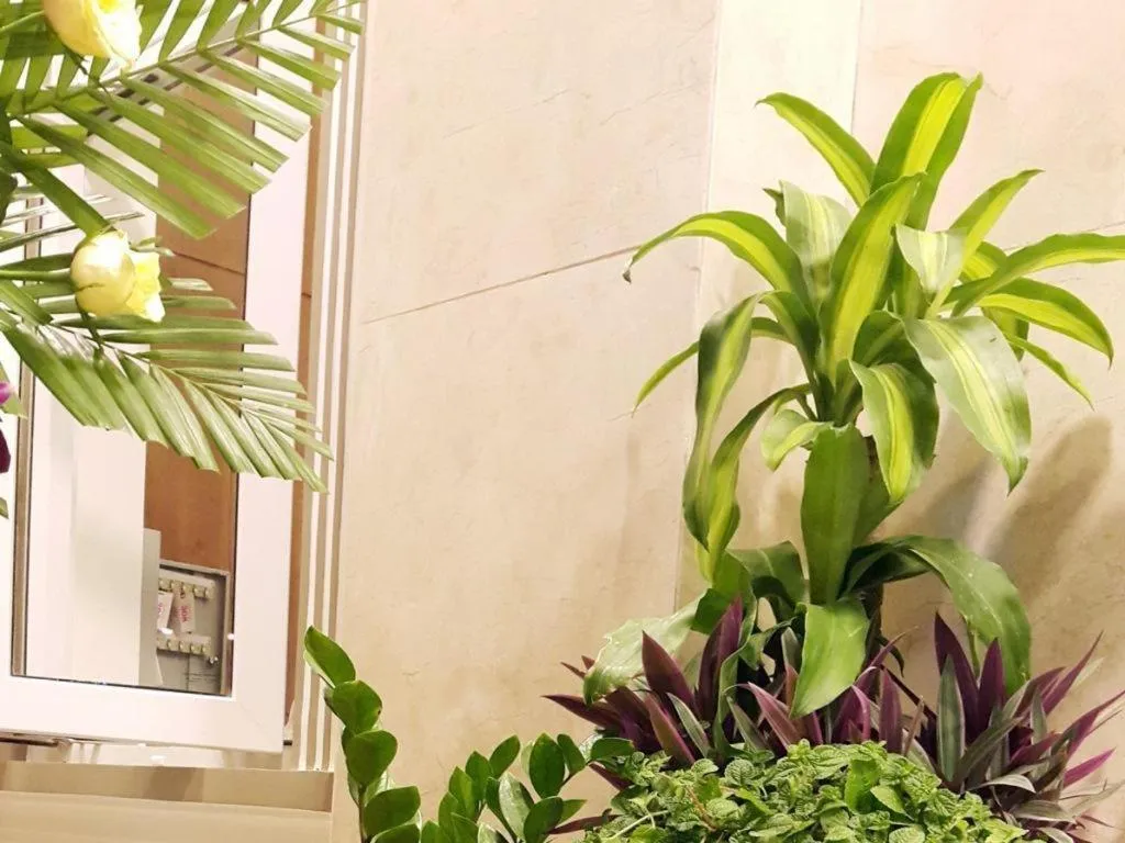 Hong Mai Hotel Nha Trang