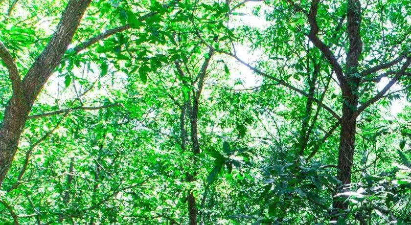 Yufuin Tsukahara Villa ERINA