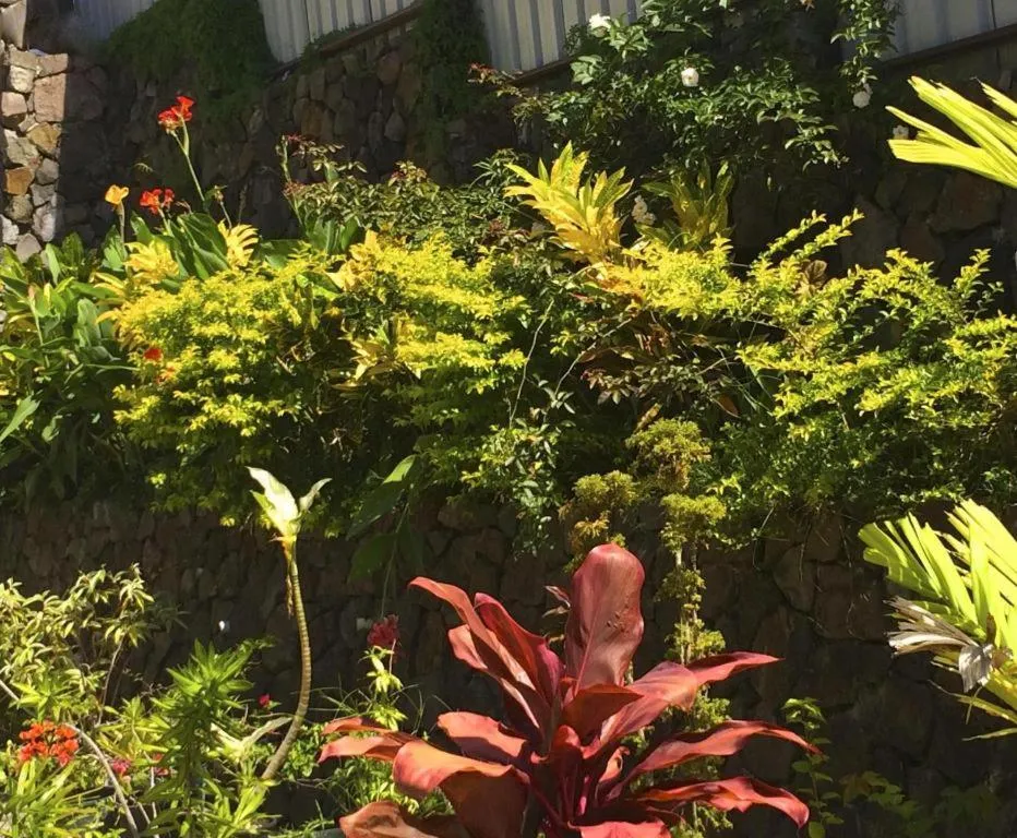 Victoria Palms Hotel