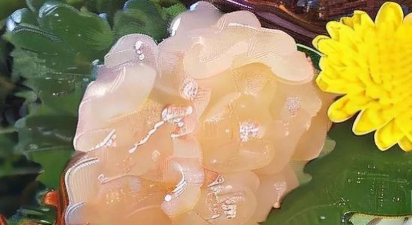 Futami Onsen Hotel Seikai