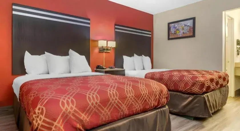 Bed in Econo Lodge Columbia Fort Jackson Bed in Econo Lodge Columbia Fort Jackson